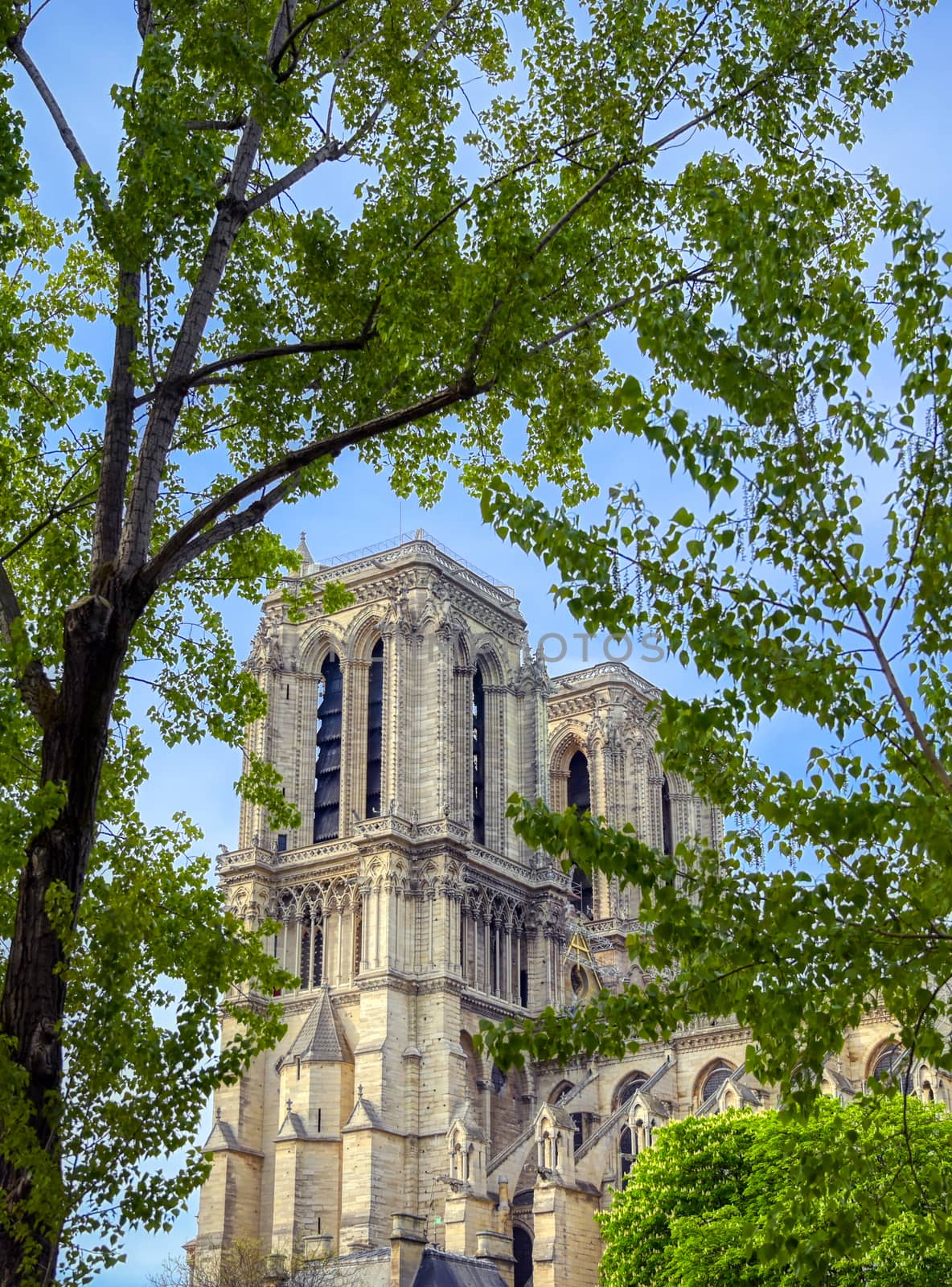 Paris, France - April 21, 2019 - Notre Dame Cathedral on the Seine River in Paris, France after the fire on April 15, 2019.