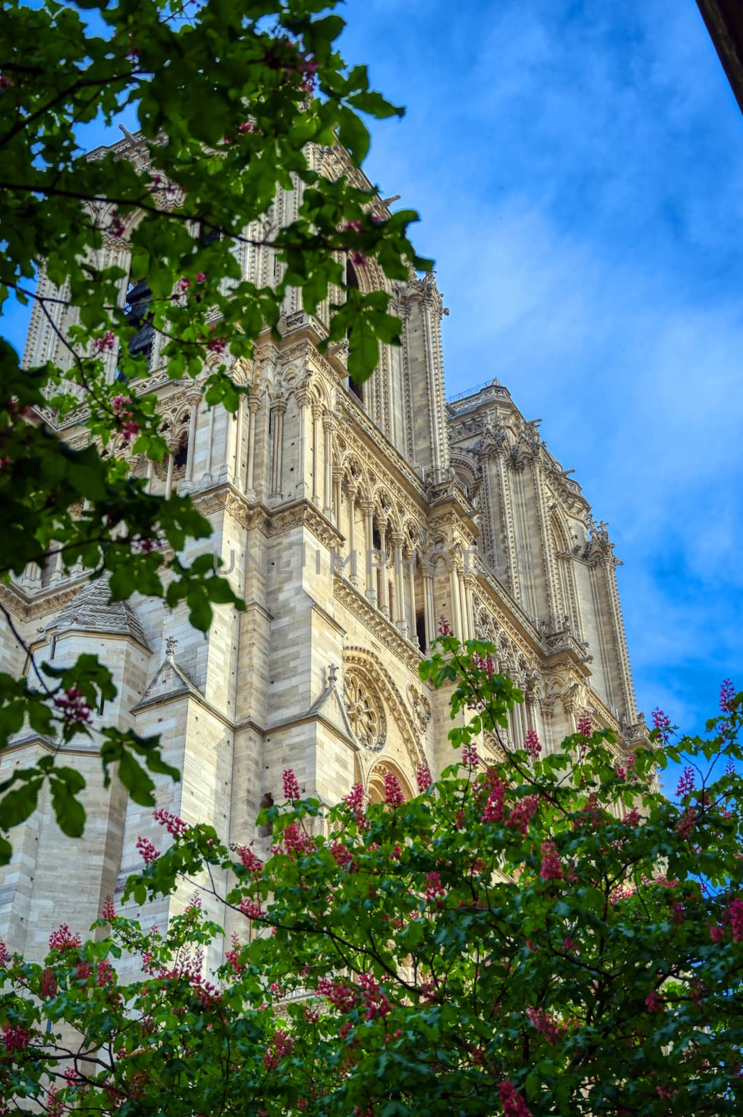 Paris, France - April 21, 2019 - Notre Dame Cathedral on the Seine River in Paris, France after the fire on April 15, 2019.