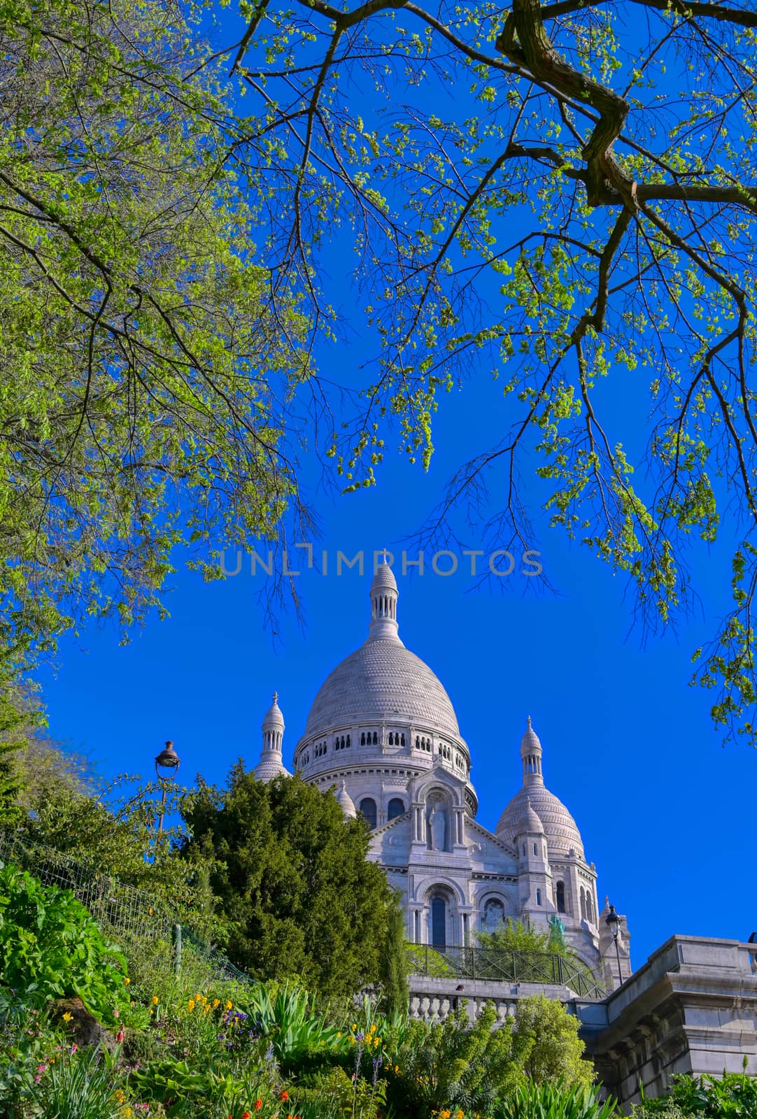 Sacre Coeur in paris, France by jbyard22