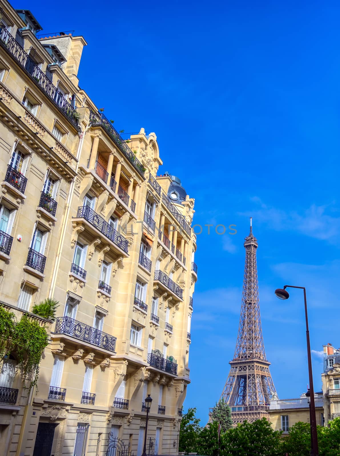 A view of the Eiffel Tower from the streets of Paris, France.