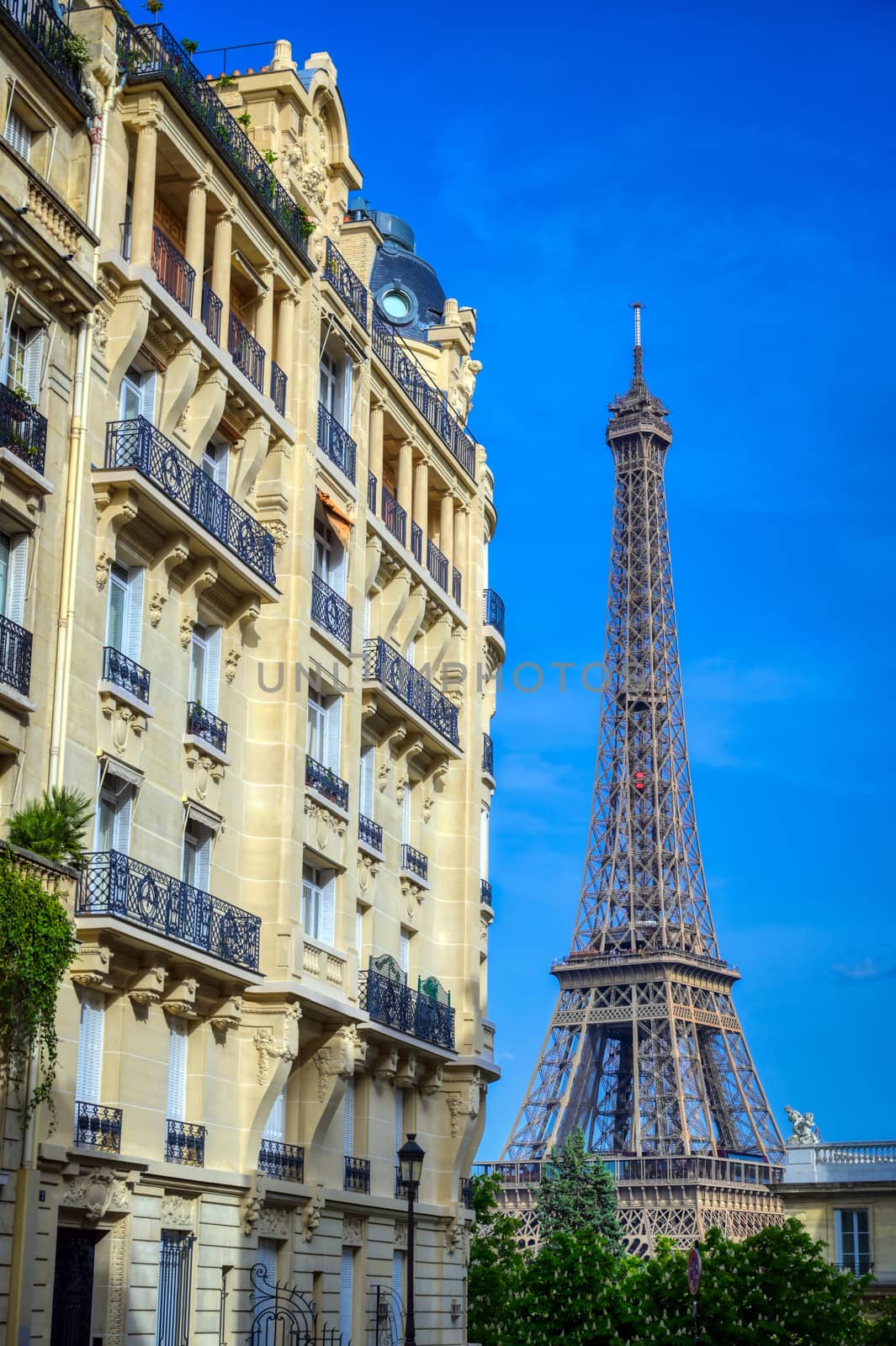 Eiffel Tower from the streets of Paris, France by jbyard22