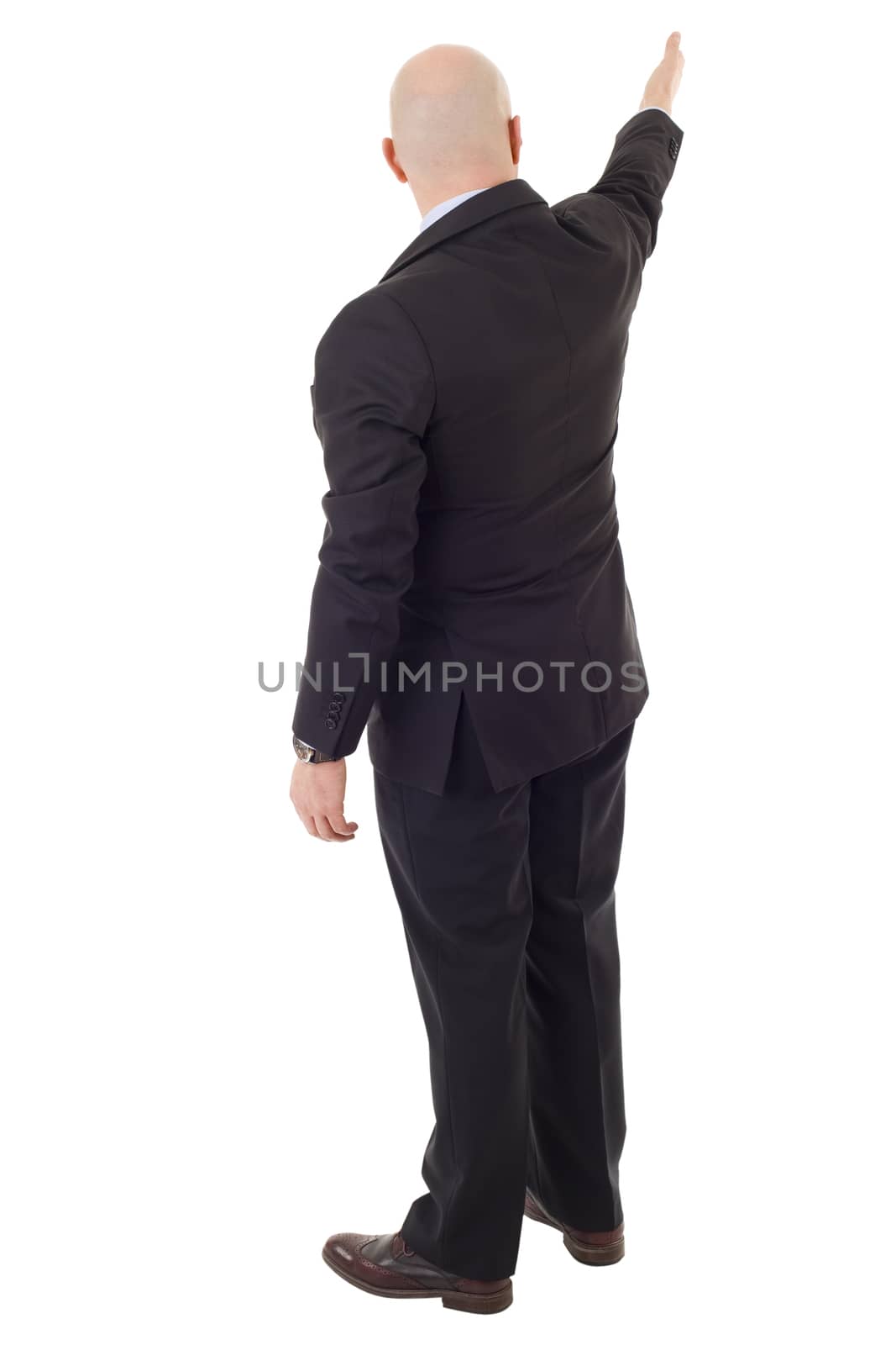 Back view of a business man pointing hand, isolated