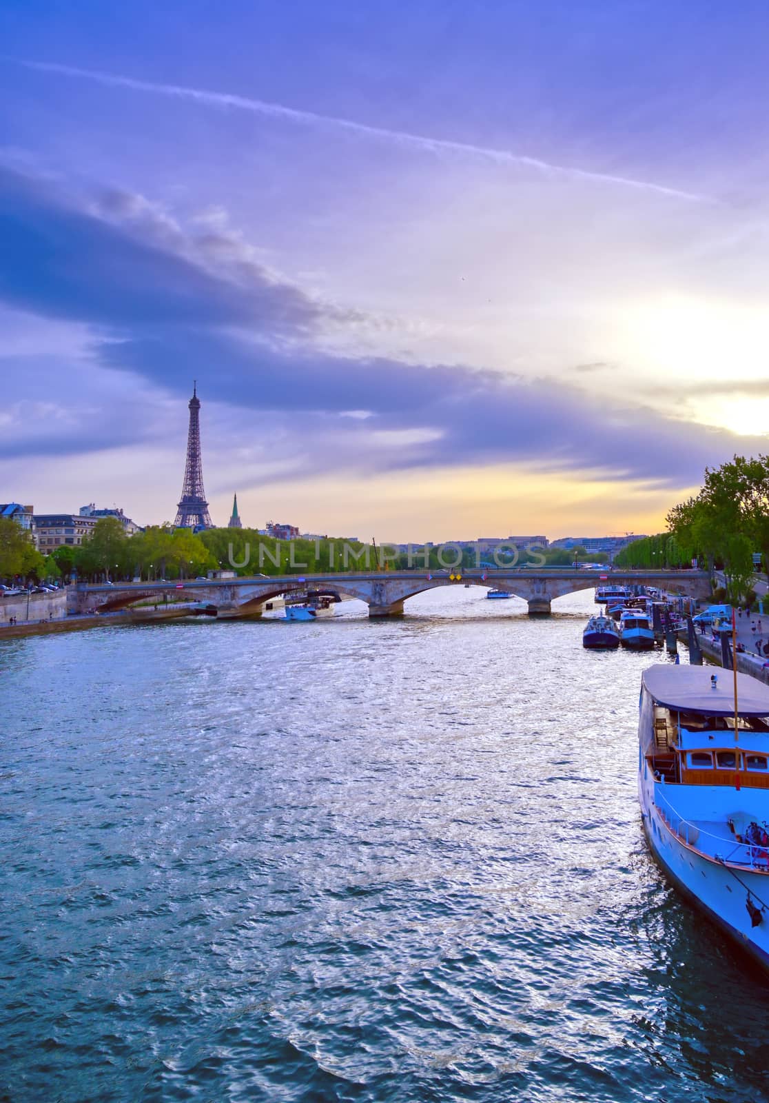 A view from the Pont Alexandre III bridge that spans the Seine River in Paris, France