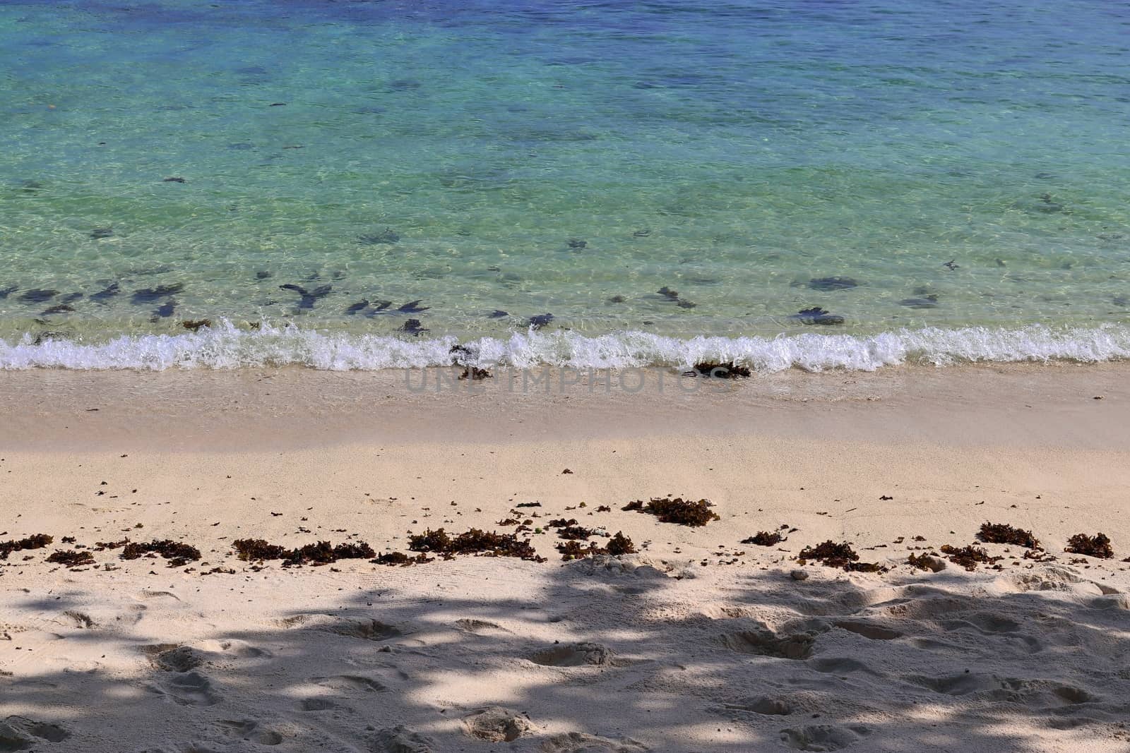 Stunning indian ocean waves at the beaches on the paradise island seychelles.