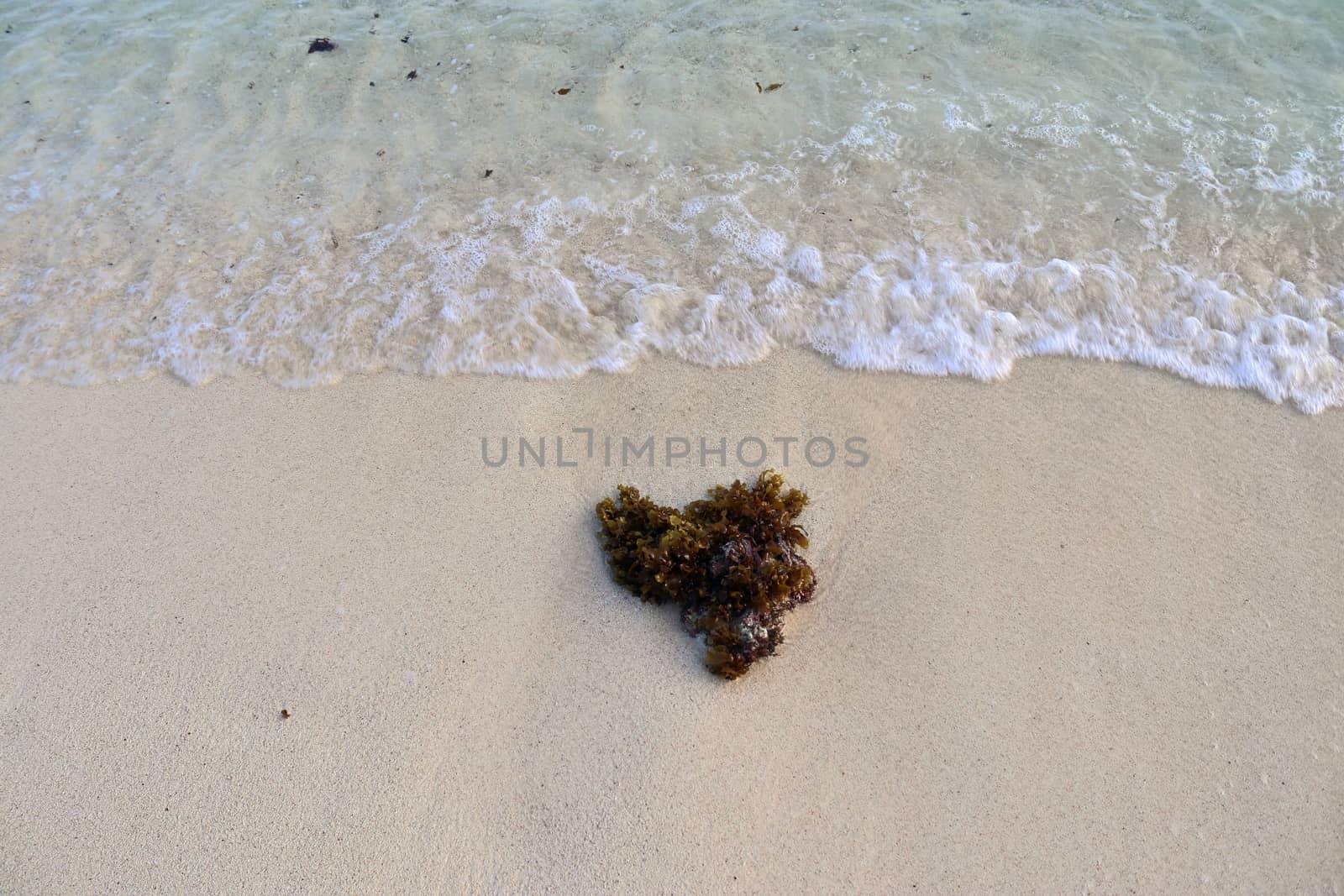 Stunning indian ocean waves at the beaches on the paradise island seychelles.