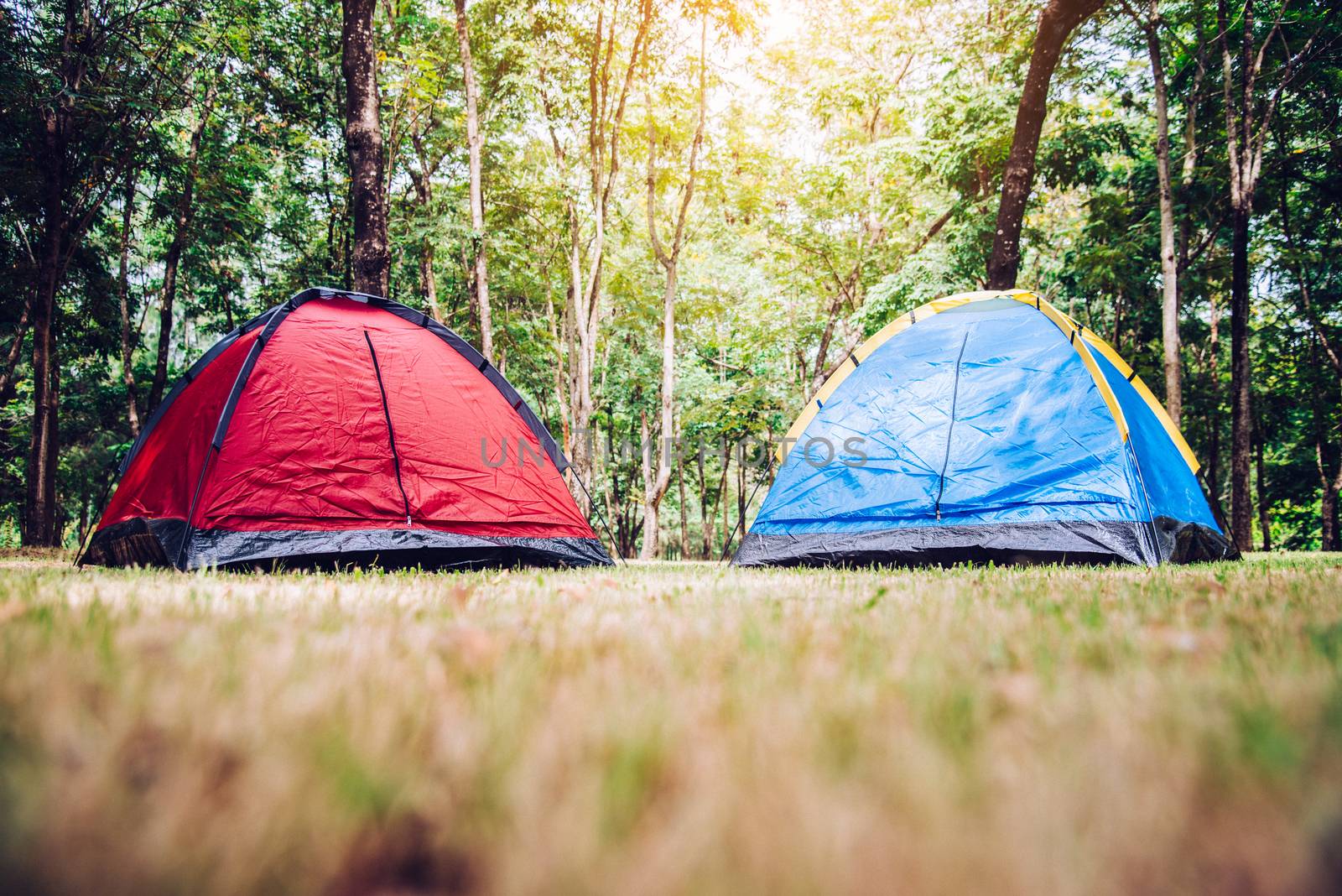 Camping and tent under tree in morning sunrise. by photobyphotoboy