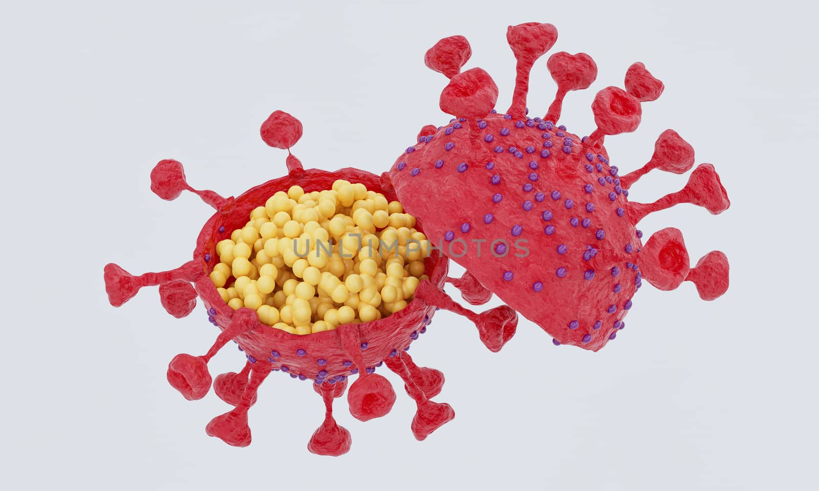 Cut in half and inside virus.  Pathogen respiratory influenza covid virus cells. New official name for Coronavirus disease named COVID-19. 3D Rendering.