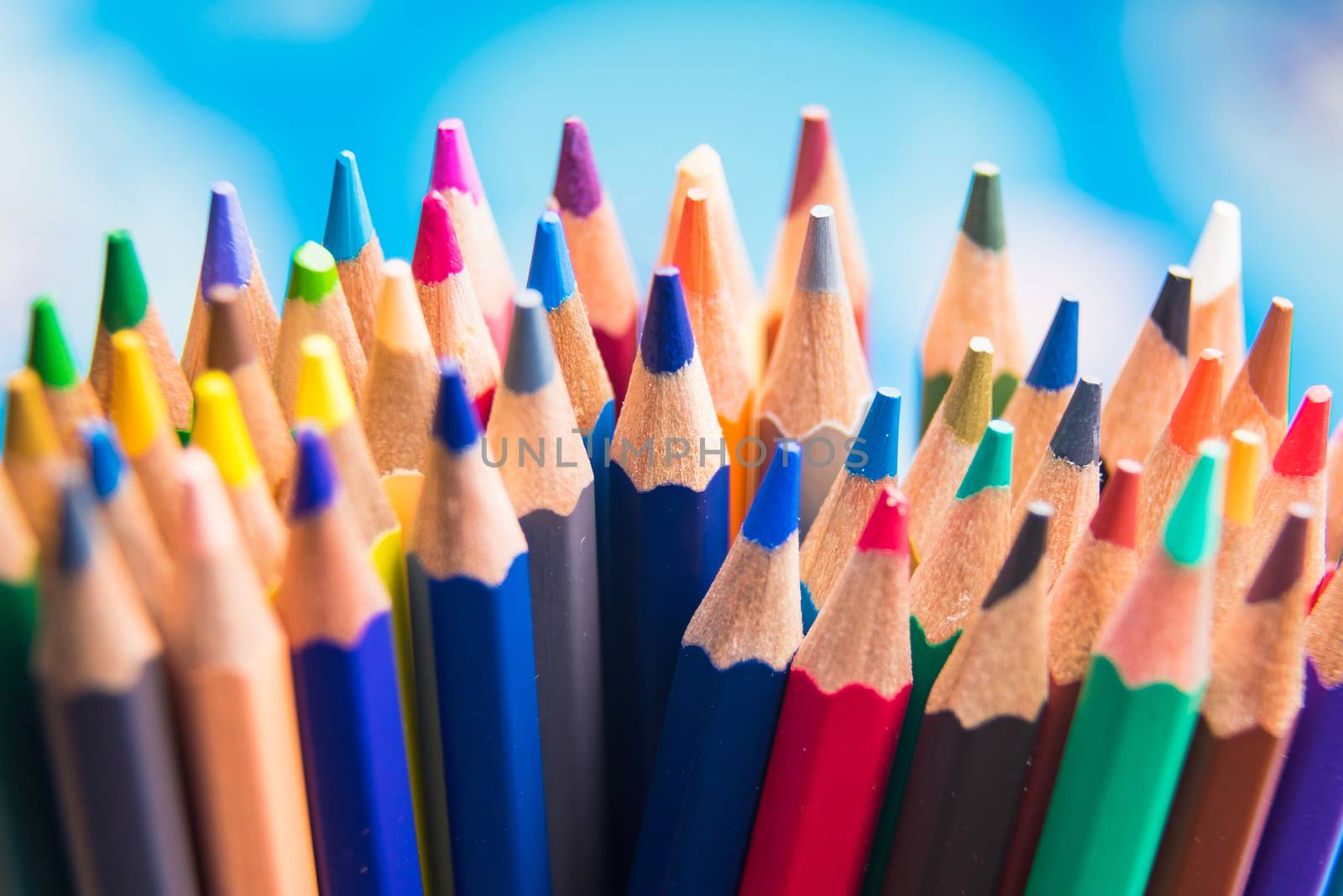 Back to school set multicolored pencils colorful making forms side view on a bule backround