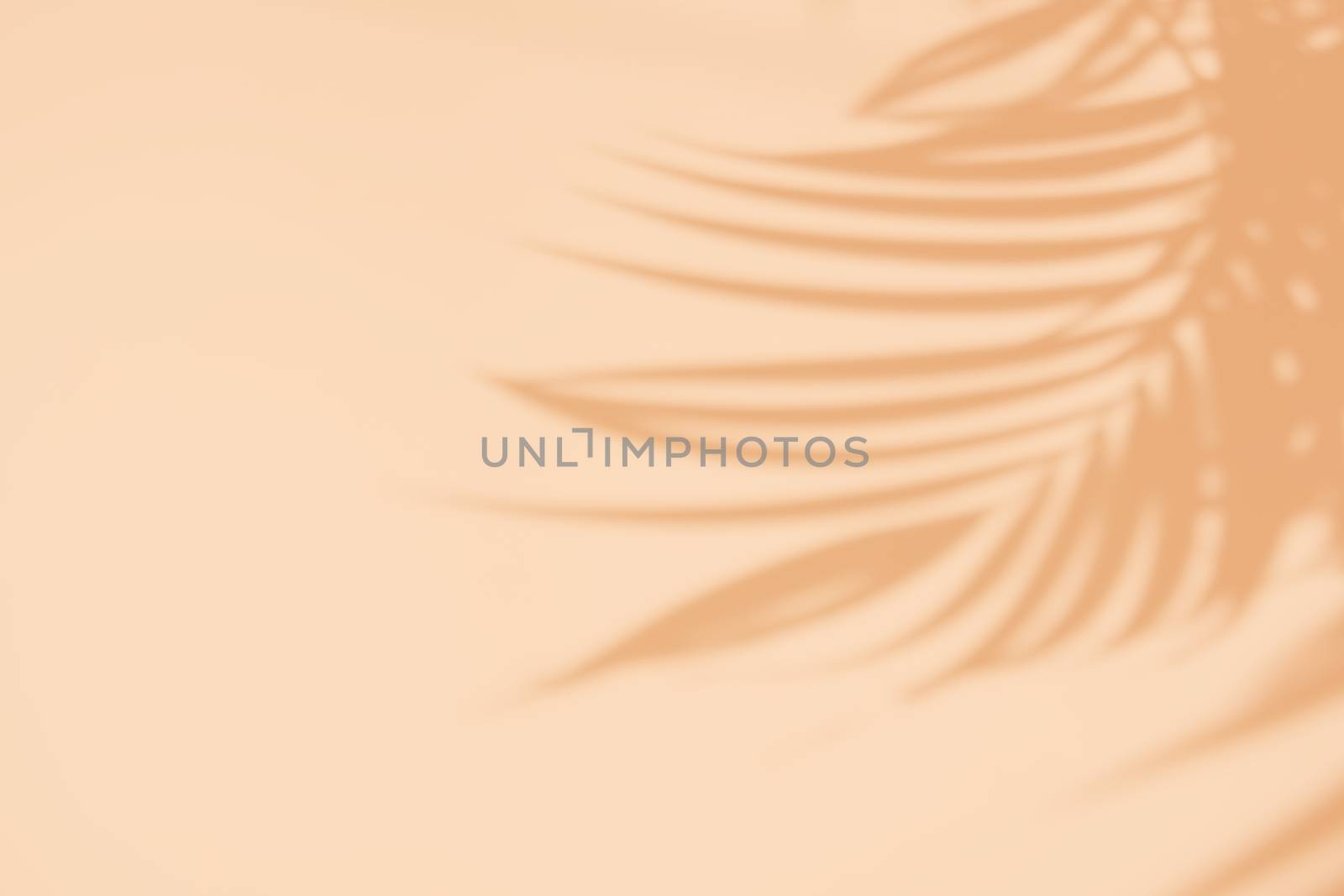 Tropical palm leaves natural shadow overlay on orange texture ba by nuchylee