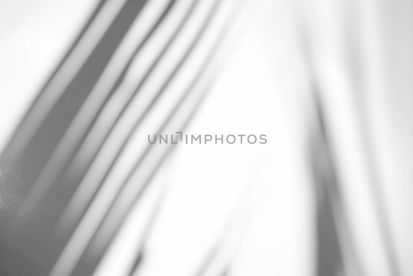 Tropical palm leaves natural shadow overlay on white texture background, for overlay on product presentation, backdrop and mockup, summer seasonal concept, minimal trend style
