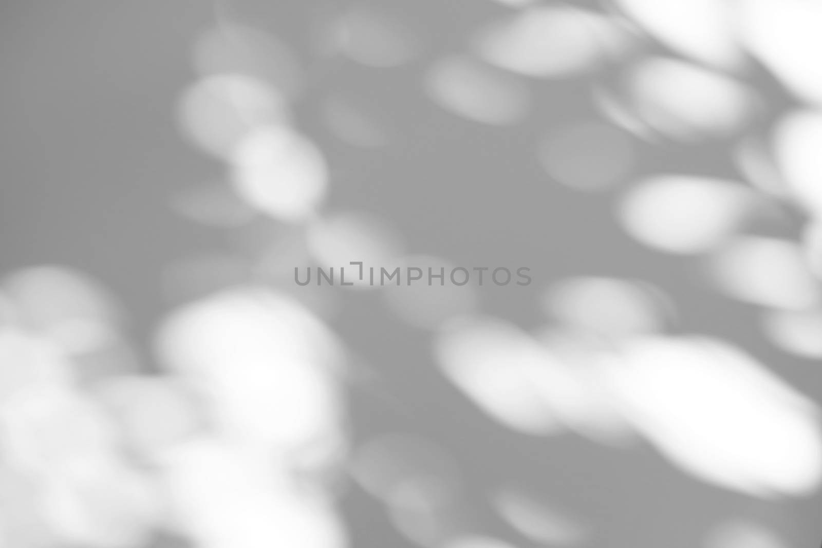 Summer concept of bokeh sunlight natural shadow overlay on white by nuchylee