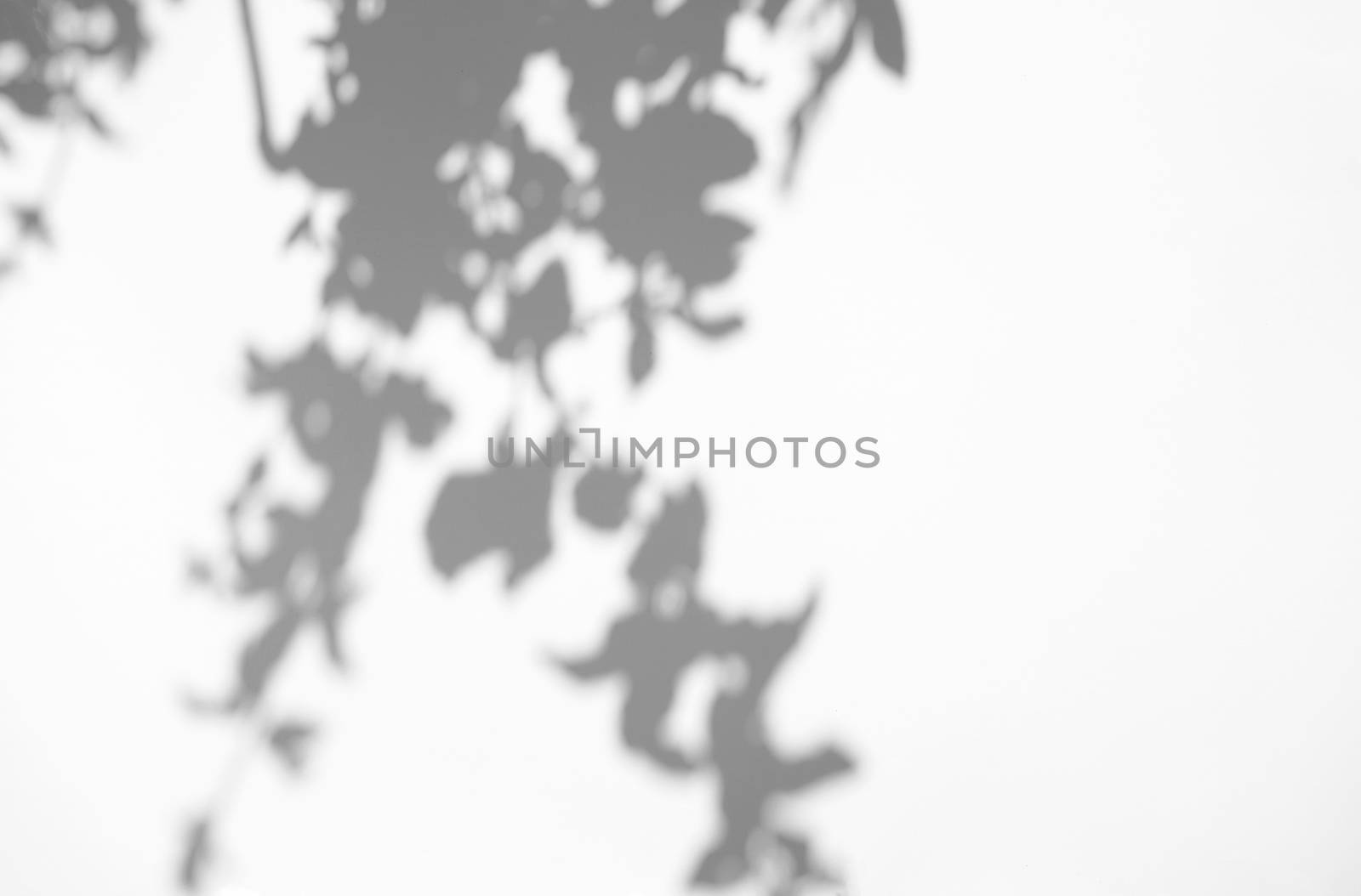 Leaves natural shadow overlay on white texture background, for o by nuchylee