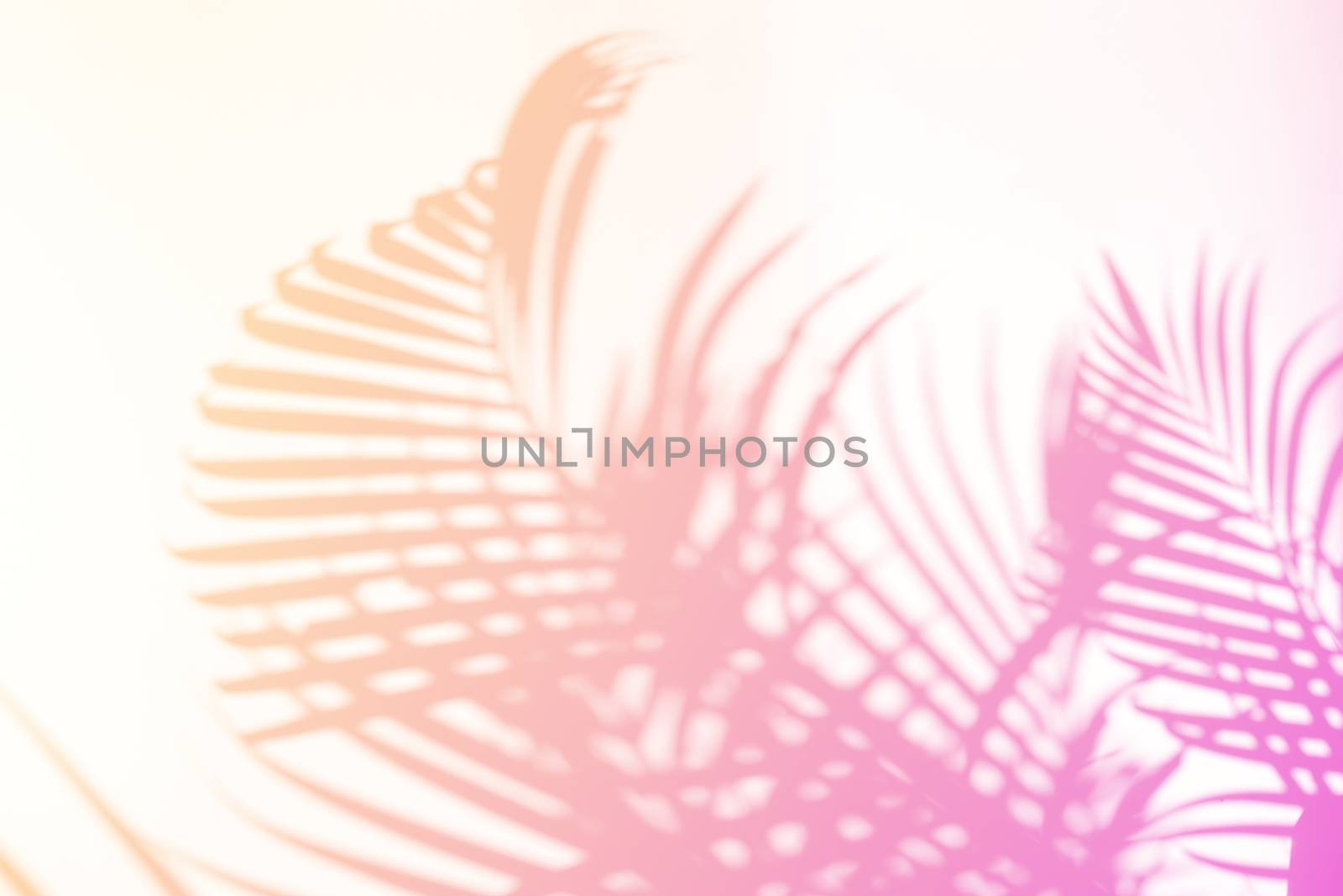 Tropical palm leaves natural shadow overlay on pastel gradient texture background, for overlay on product presentation, backdrop and mockup, summer seasonal concept, minimal trend style