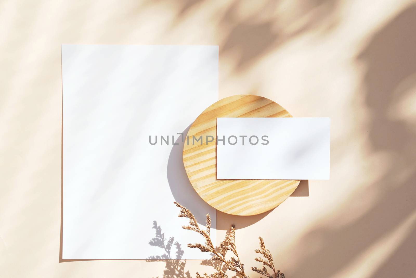 Flat lay of branding identity business name card on yellow background with flower, light and shadow shape leaves, minimal concept for design