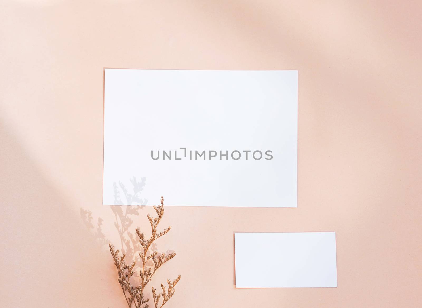 Flat lay of branding identity business name card on yellow background with flower, minimal light and shadow concept for design