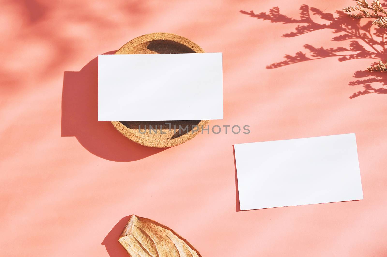 Flat lay of branding identity business name card on orange backg by nuchylee