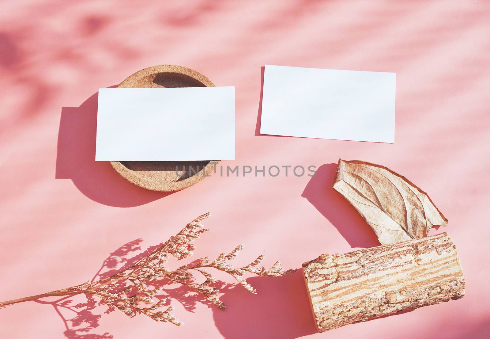 Flat lay of branding identity business name card on with dry flower and leaf, minimal light and shadow concept for design, autumn season style