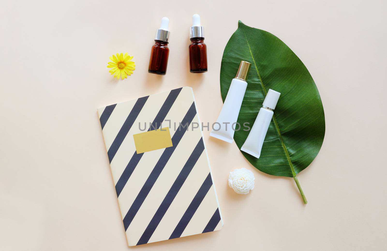 Flat lay of various organic skincare and beauty products for moc by nuchylee