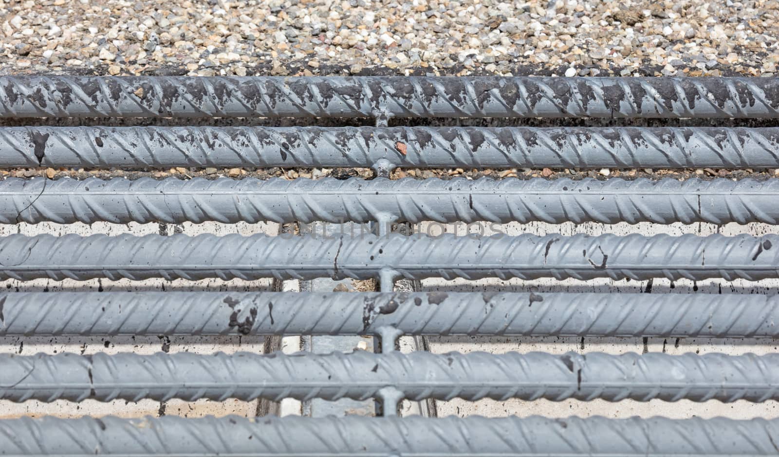 Cattle grid in ground, an obstacle used to prevent wild cattle and other wildlife from crossing