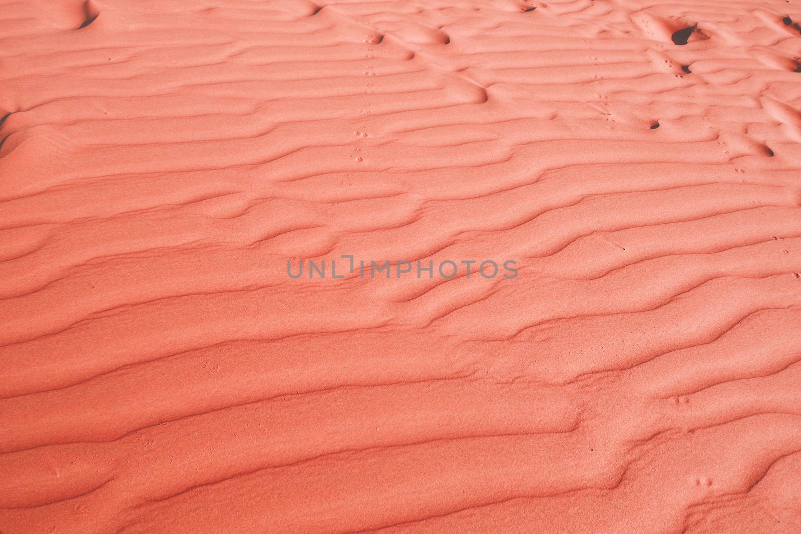 Living Coral color background, Color of the year 2019, Texture of sand dune in the desert 