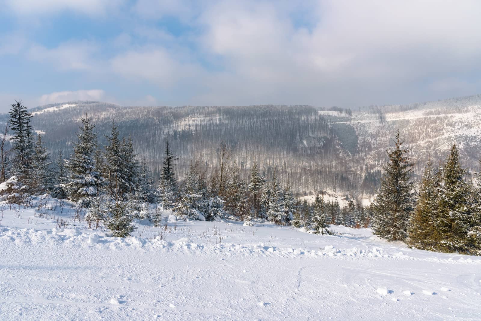 Winter landscape of Beskid Mountains, Szczyrk, Poland