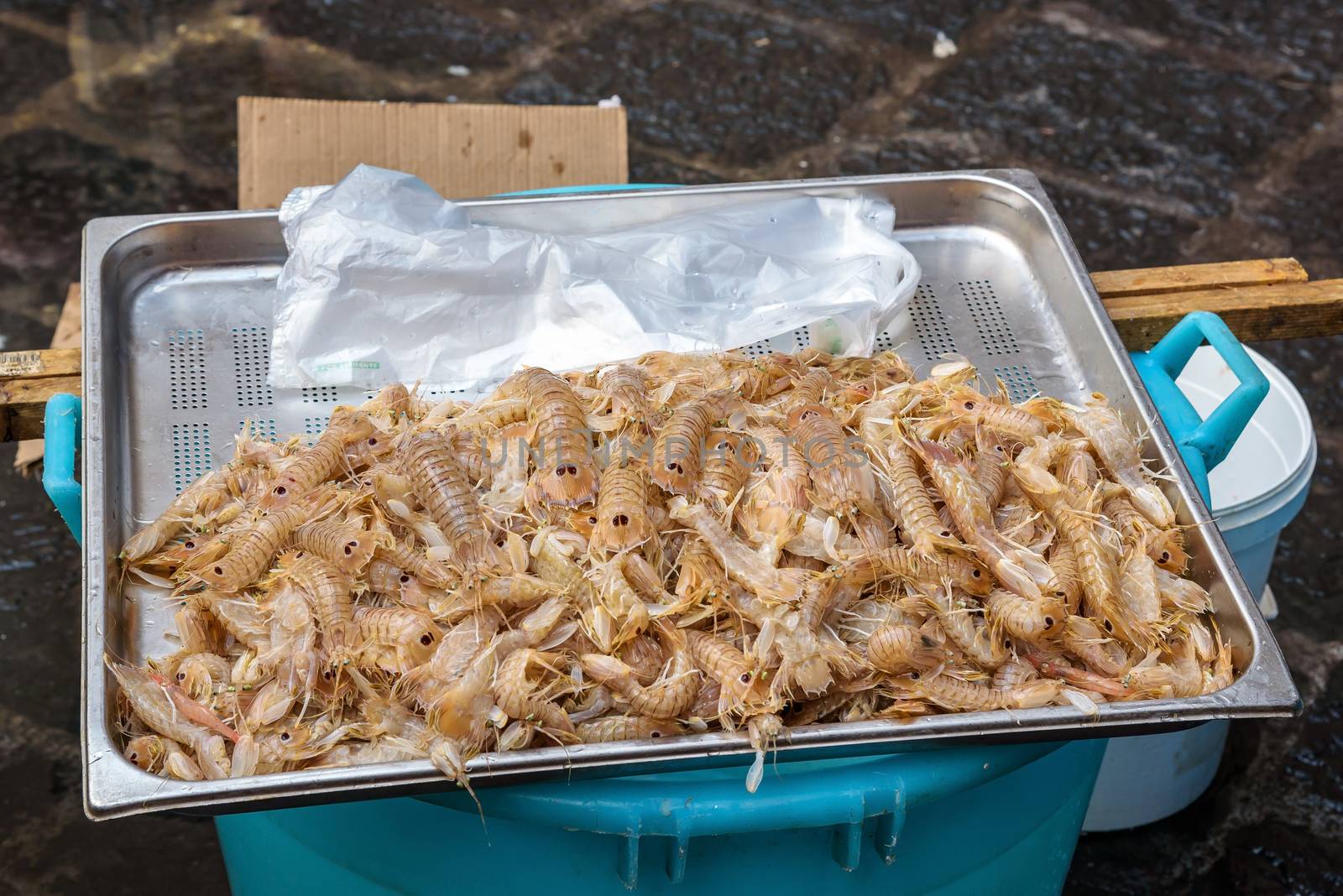 Fresh prawns on the fish market by mkos83