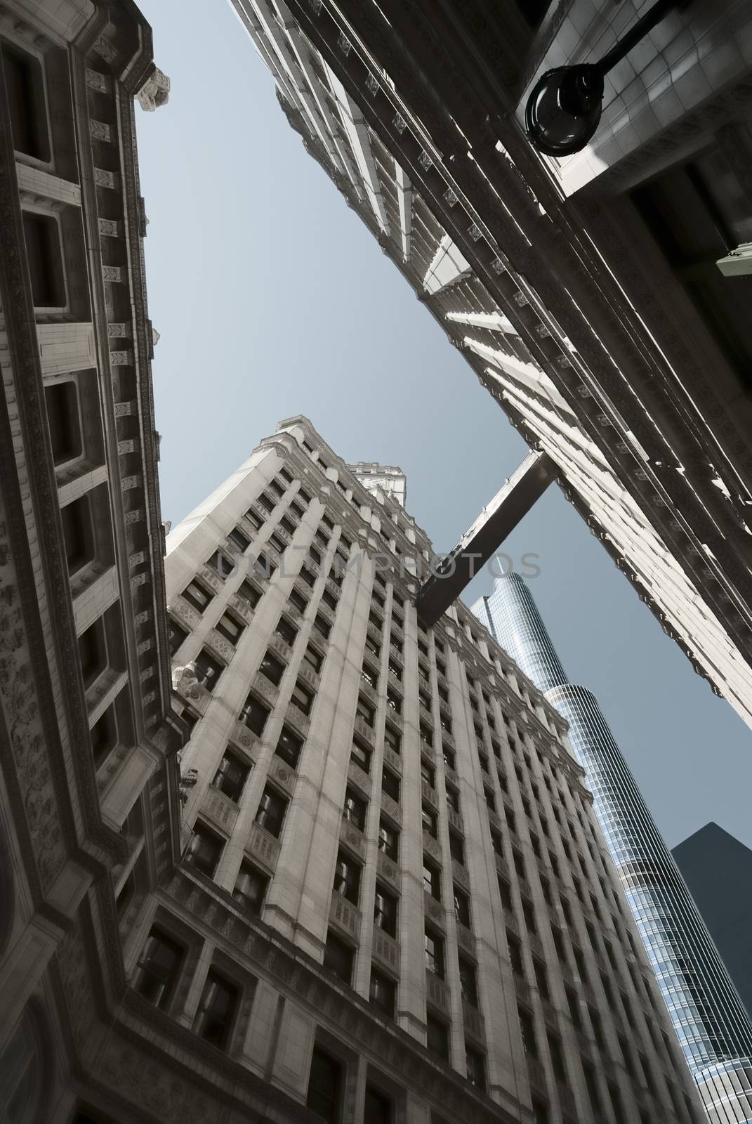 Wrigley Building and Trump Tower, Chicago