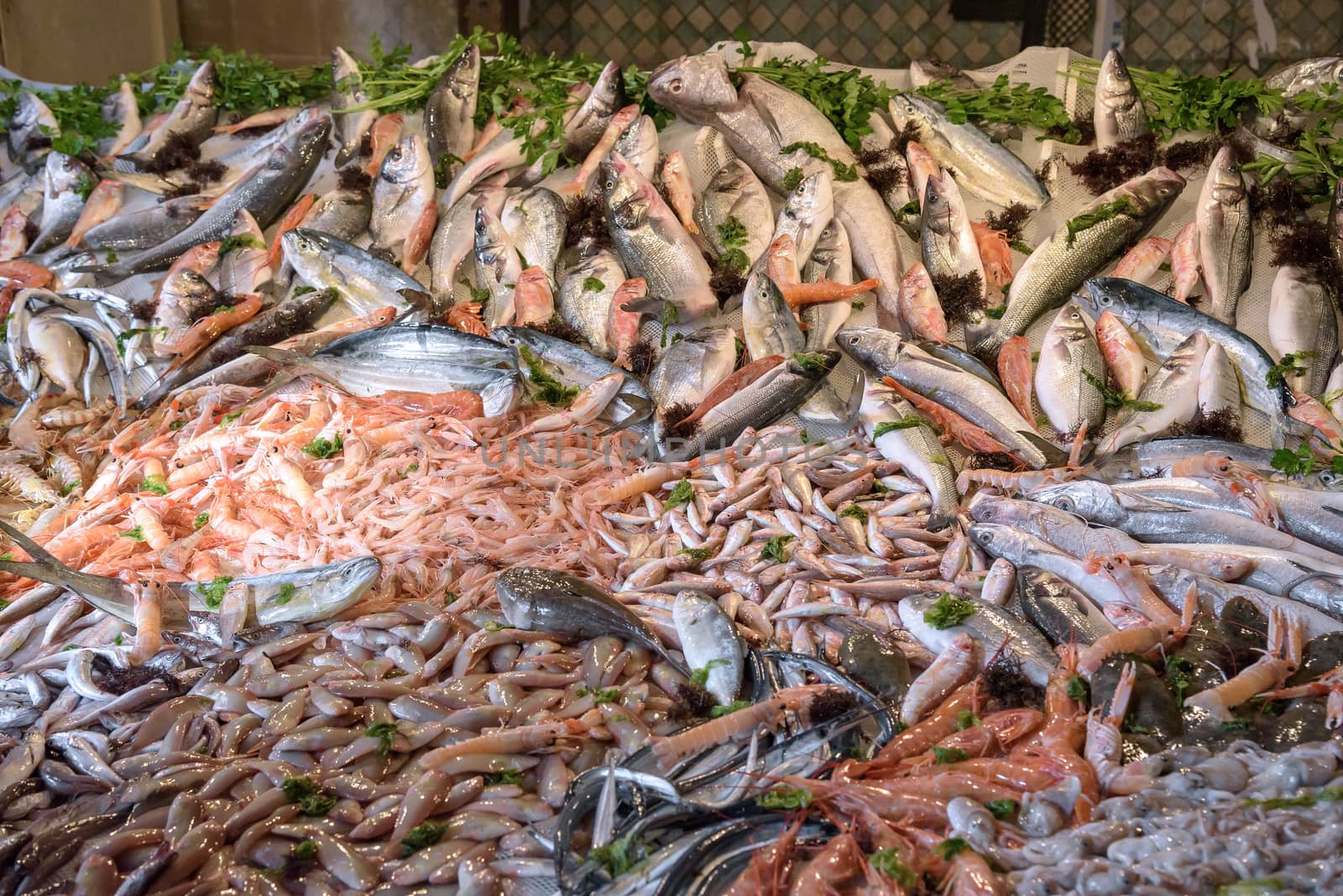 Fishes, prawns and other seafood at the fish market