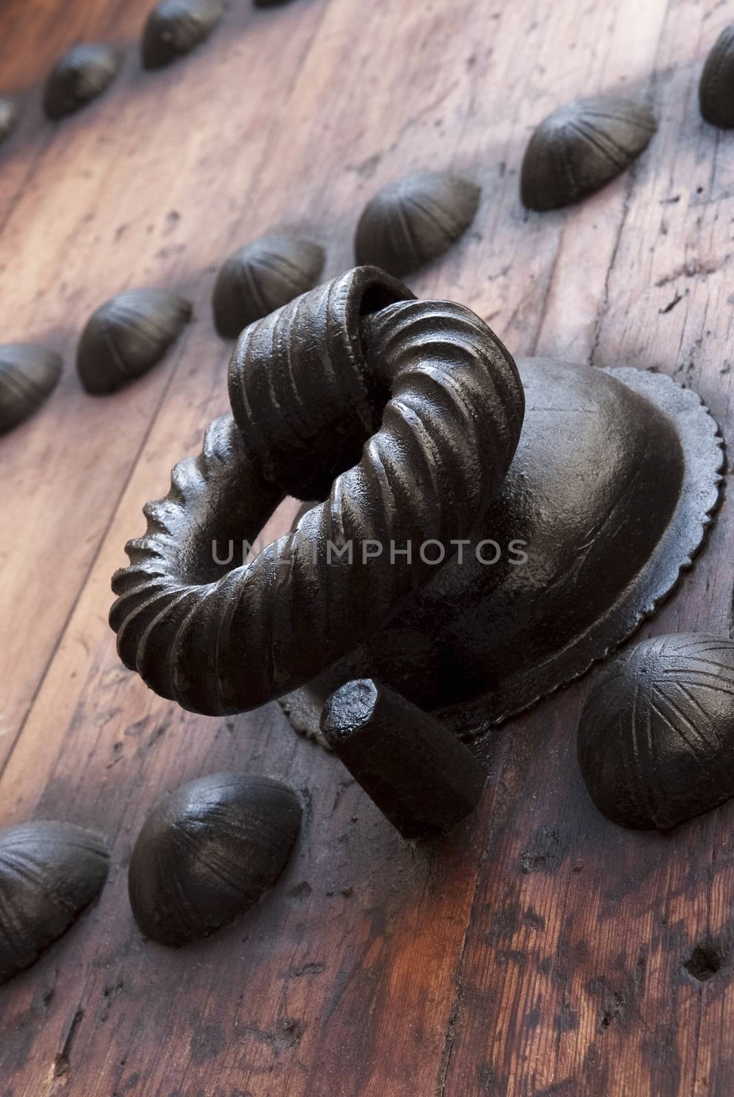 Fragment of wooden door with antique doorknob by dani3315