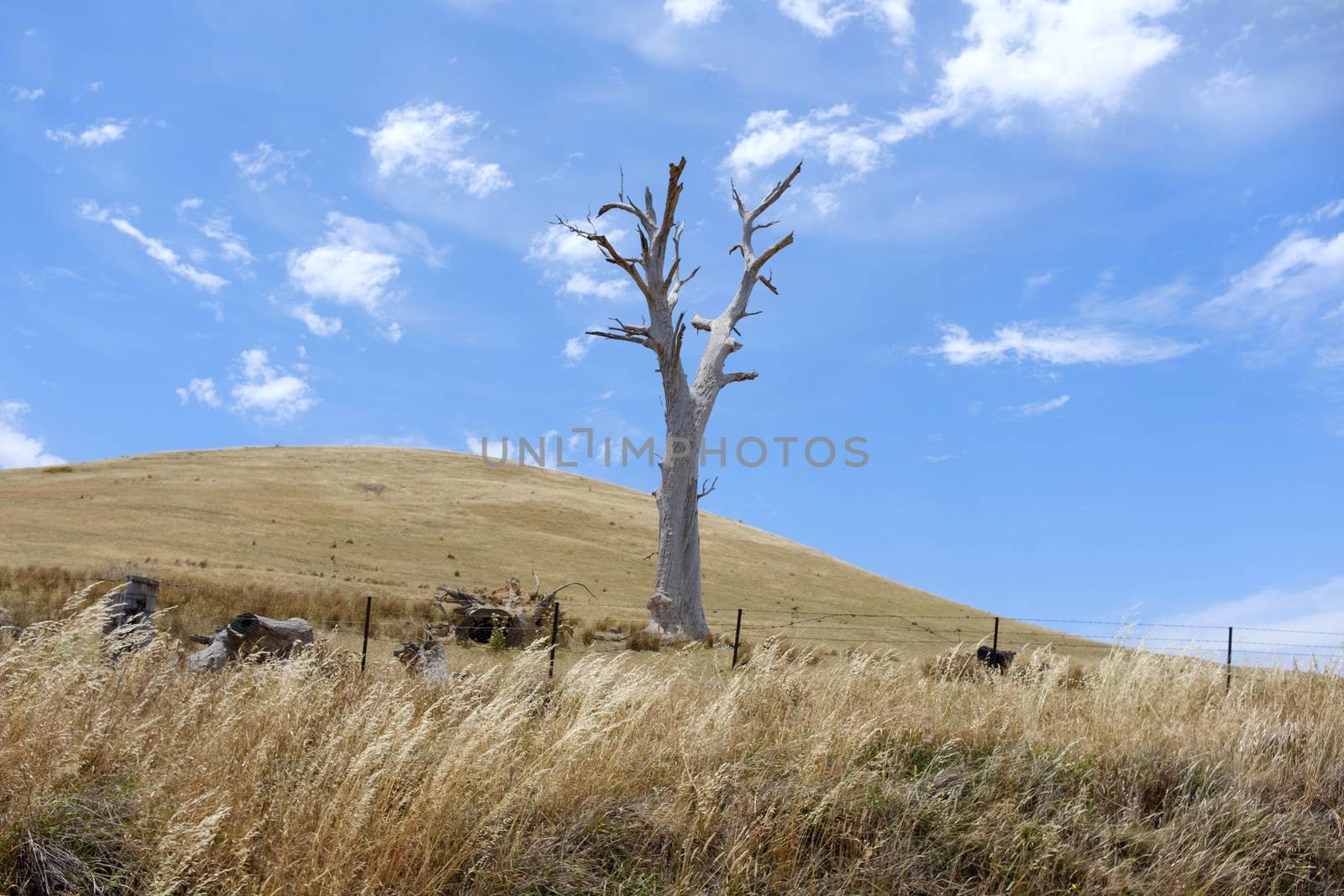 Scenic view road to the hill on the way of Tallangatta in Victoria, Australia