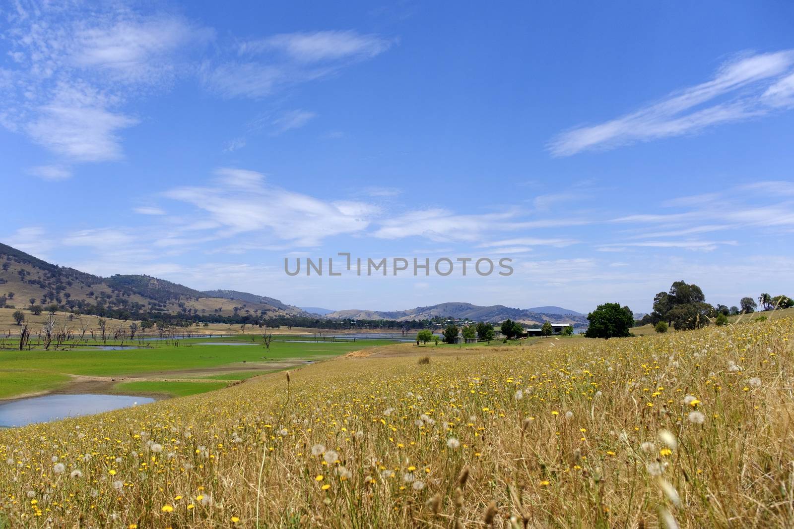 Scenic lake surrounded by hill on the way of Tallangatta in Vict by nuchylee