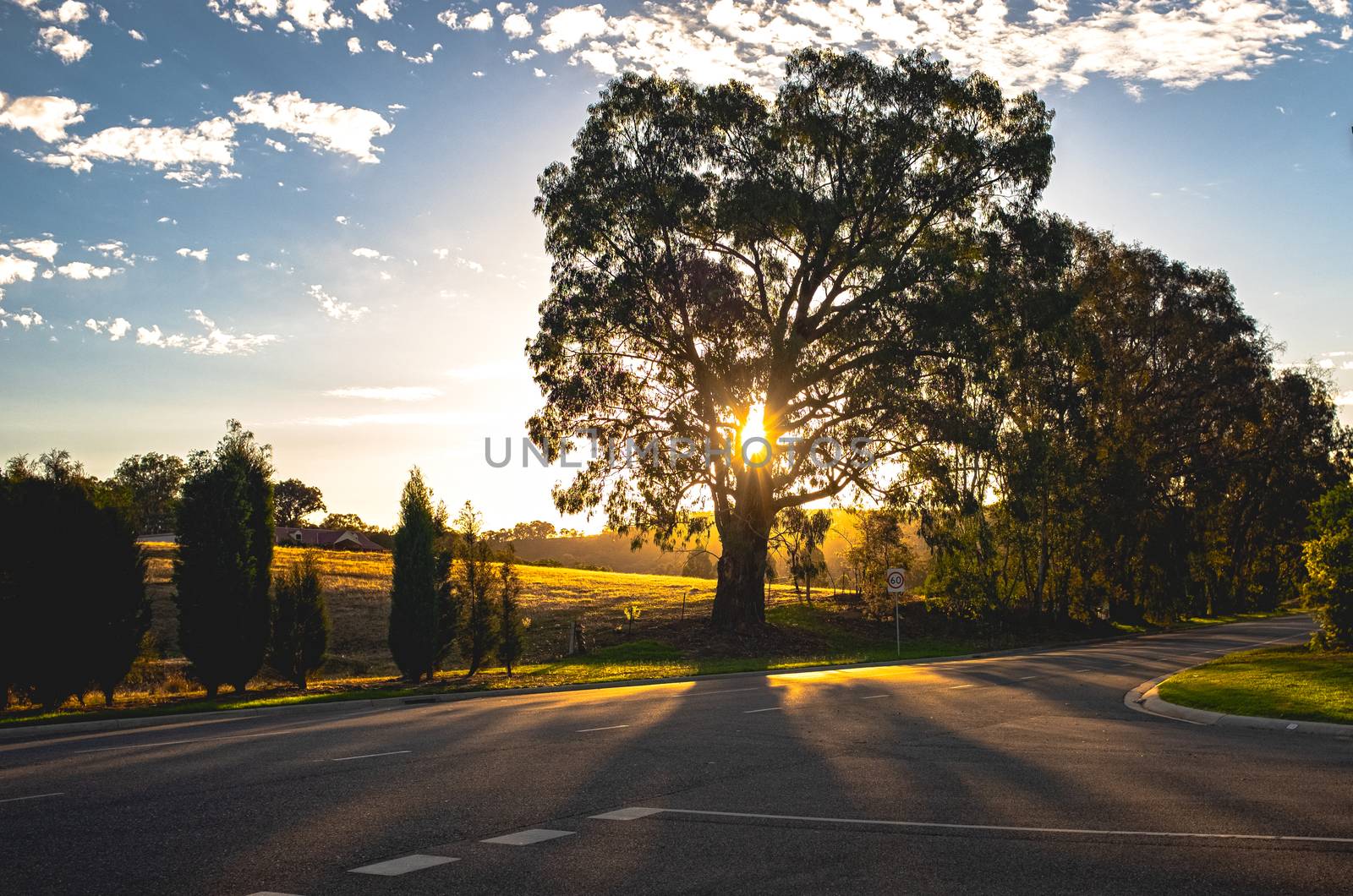 Beautiful scenery of trees and sunbeam light in the evening, nat by nuchylee