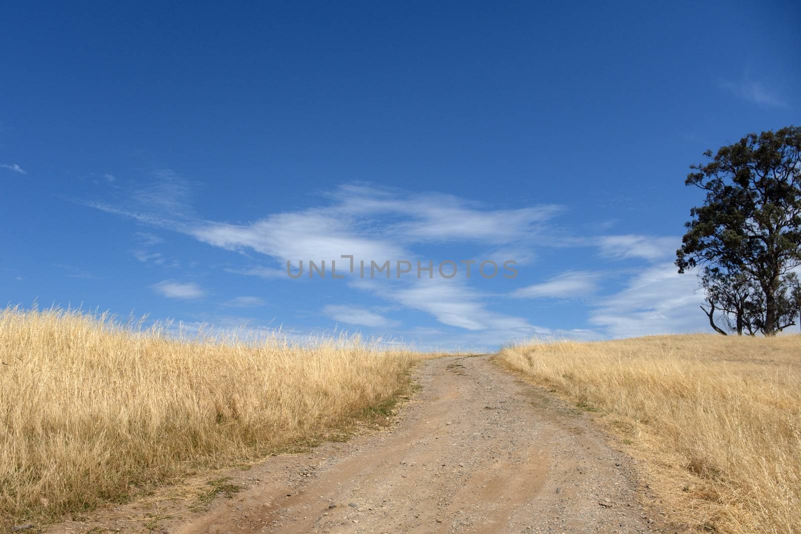 Scenic view road to the hill on the way of Tallangatta in Victoria, Australia