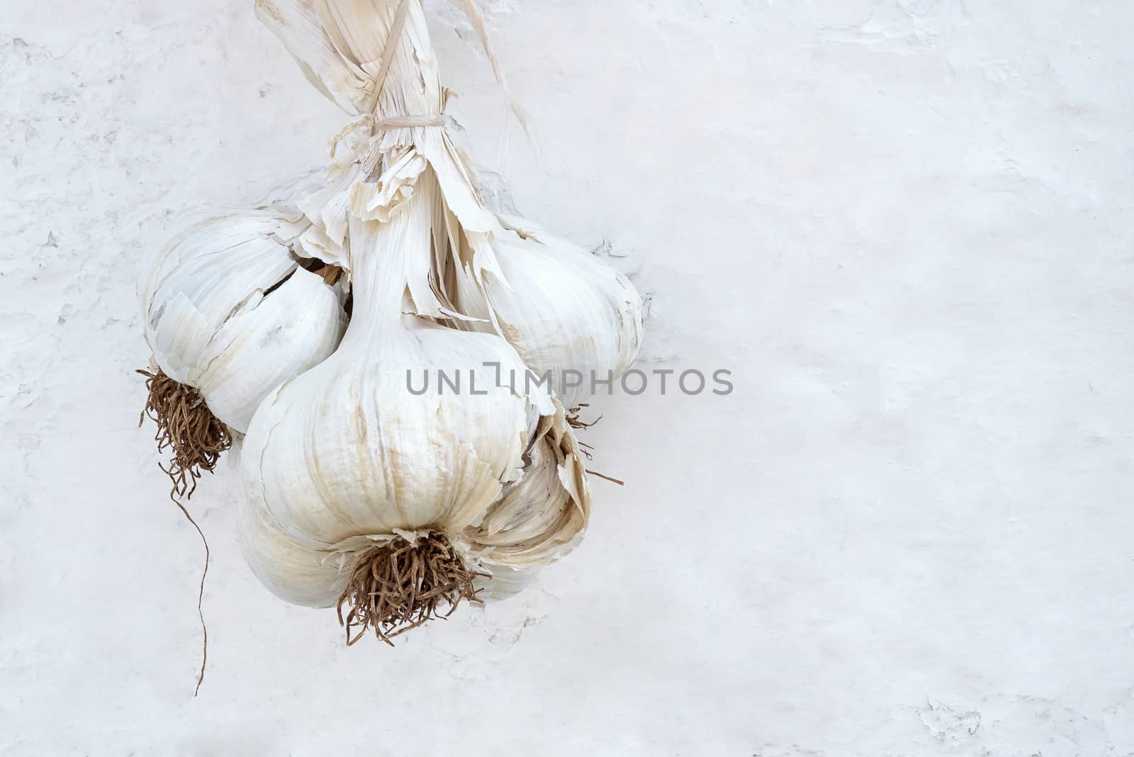 Bunch of garlic hanging on the wall by mkos83