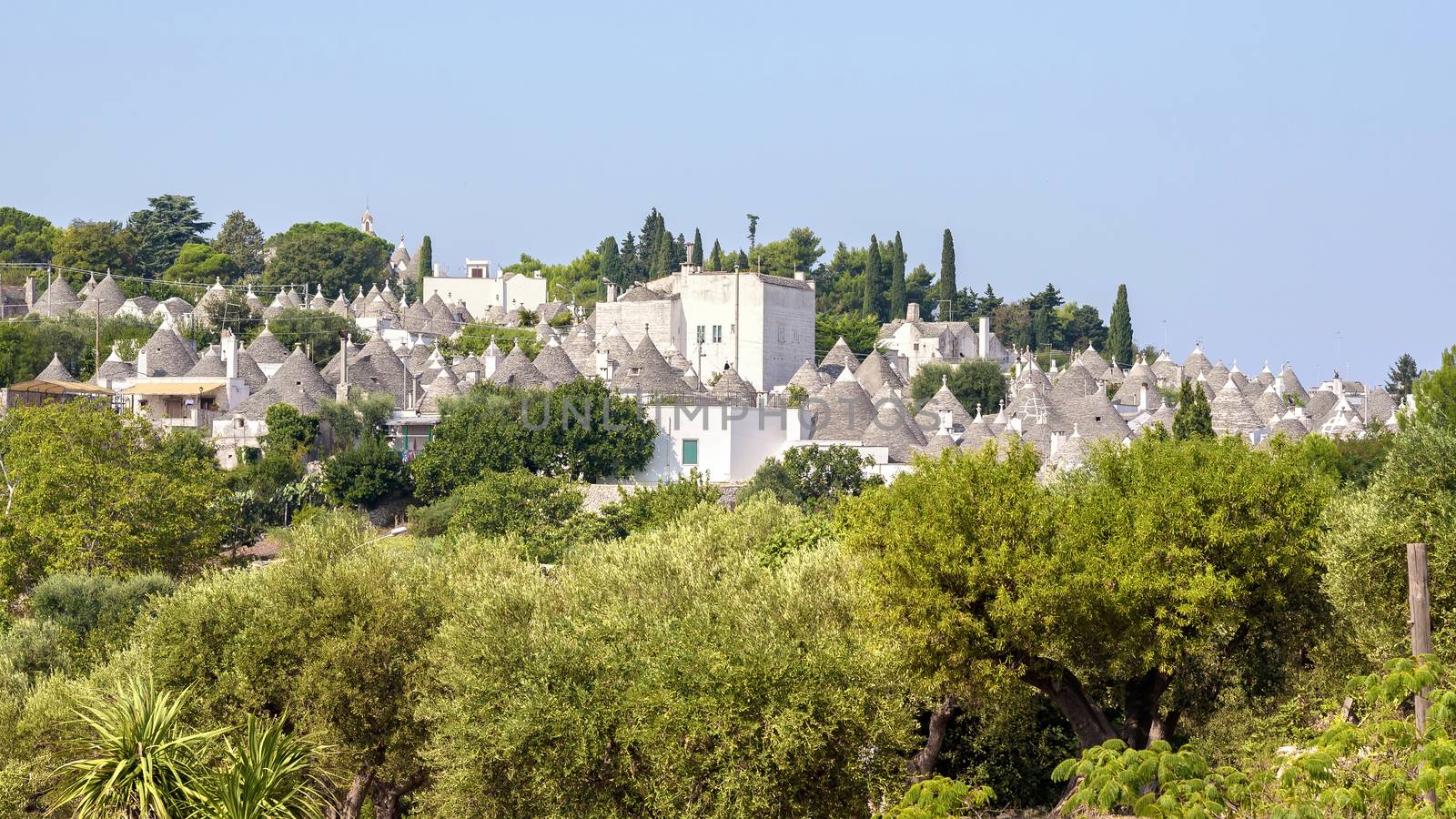 The roofs of famous Alberobello's trulli by mkos83