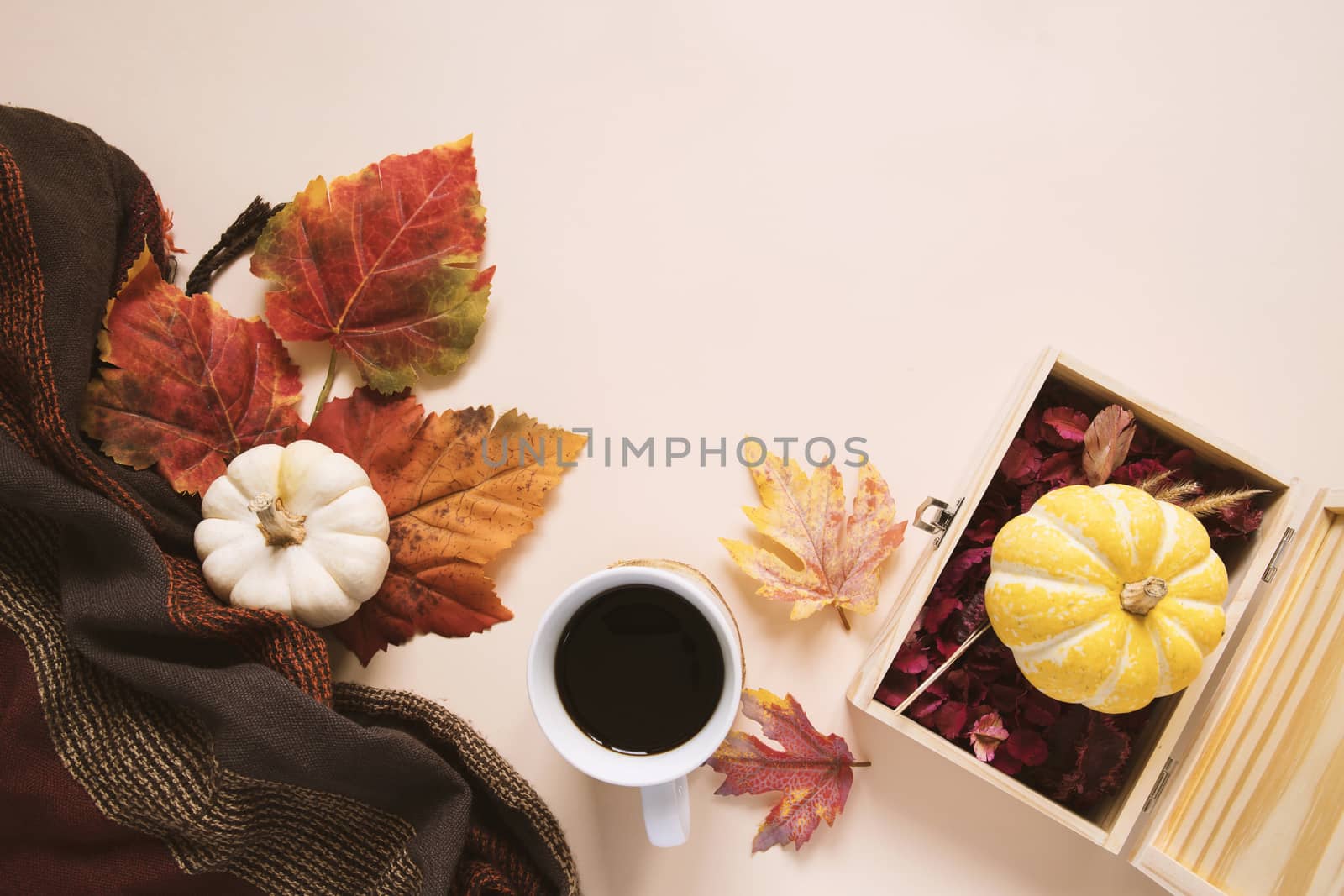 Flatl lay style of autumn and thanksgiving with pumpkin, coffee, scarf and maple leaf, copy space