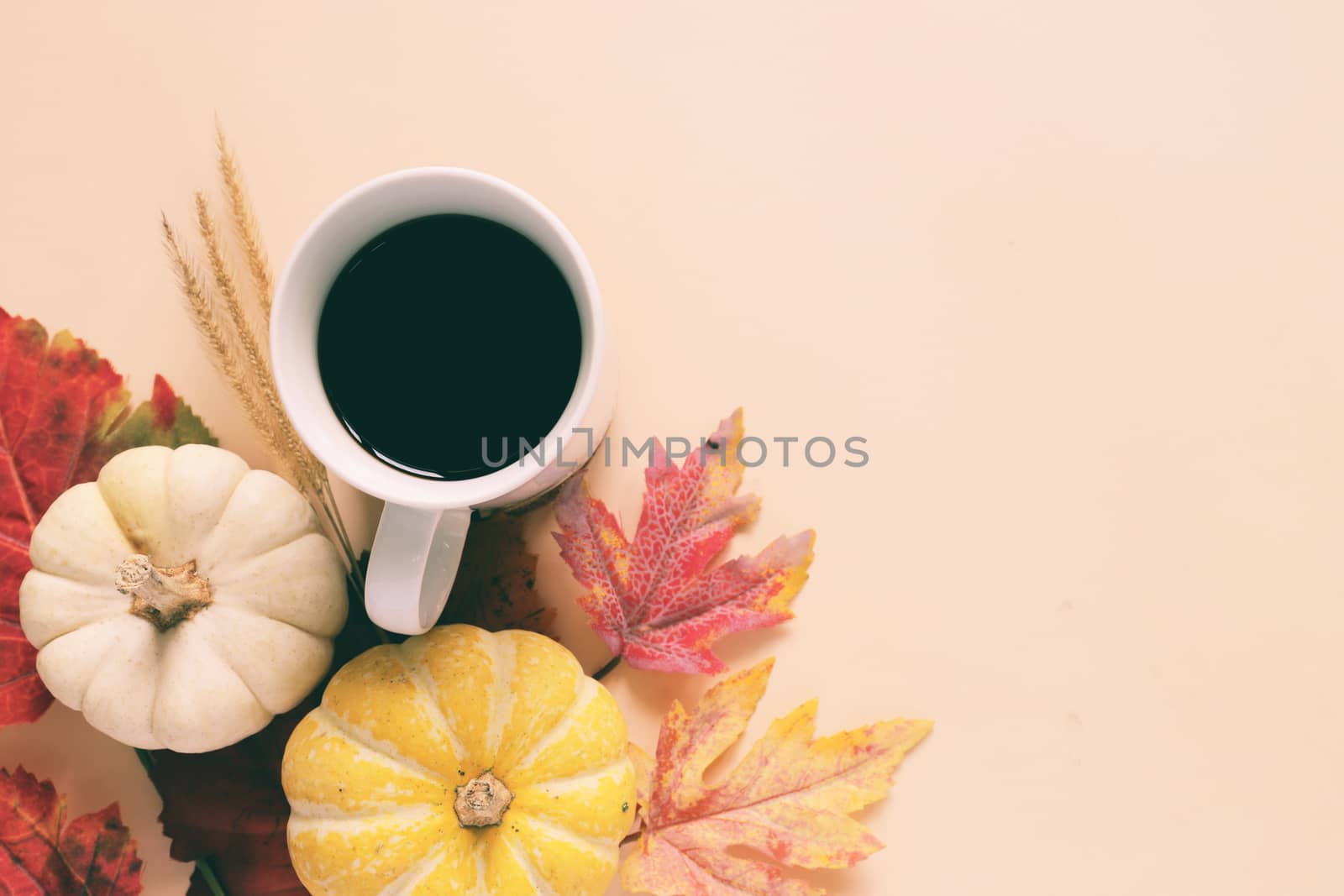 Flatl lay style of autumn and thanksgiving with pumpkin, coffee and maple leaf, copy space