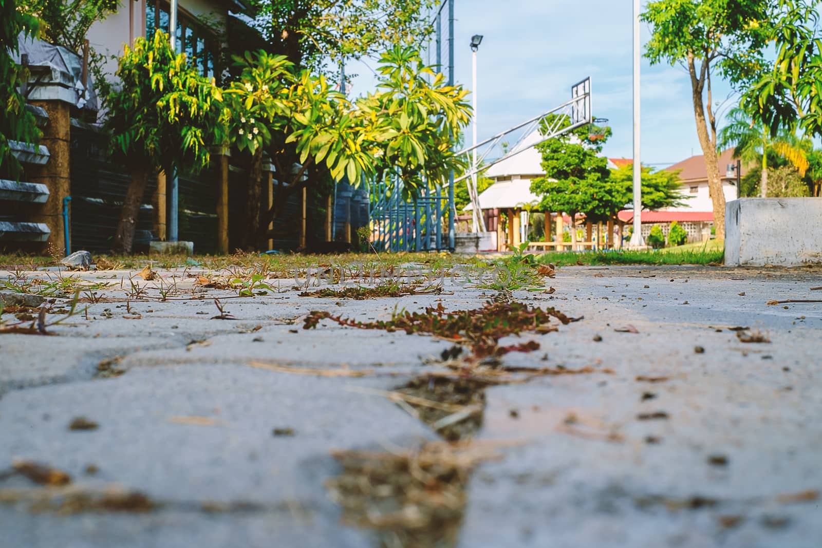 Walkway in the public park to the basketball sport field