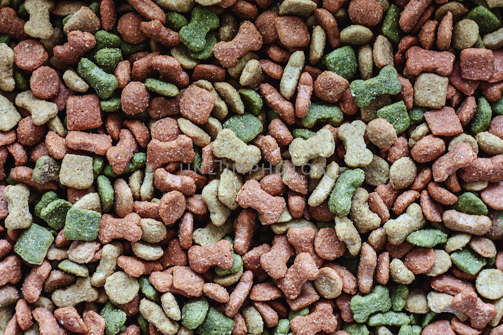 Dried pellet dog food for animal and pet care concept