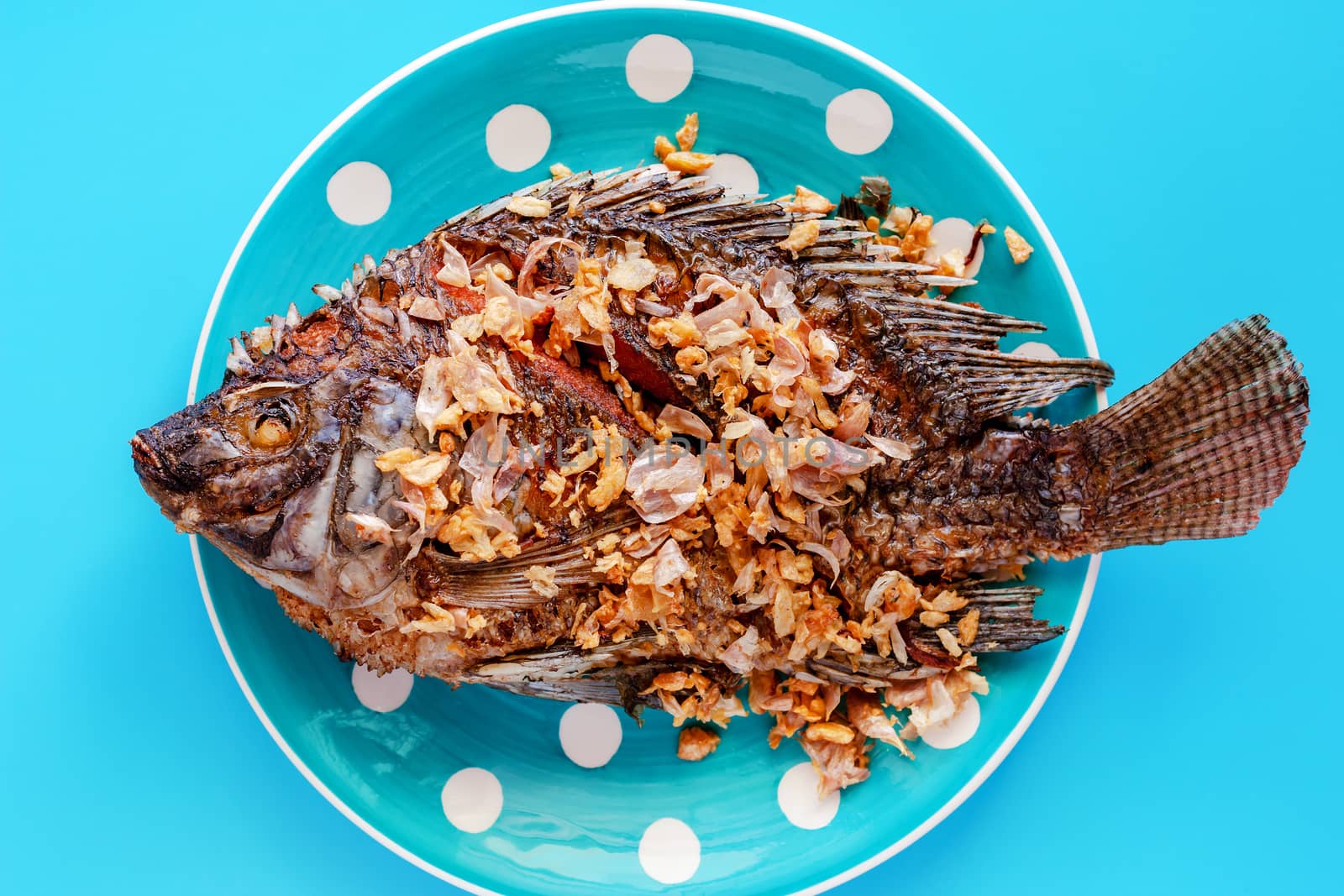 Delicious fried Tilapia fish in polka dot plate on blue background for tasty food concept