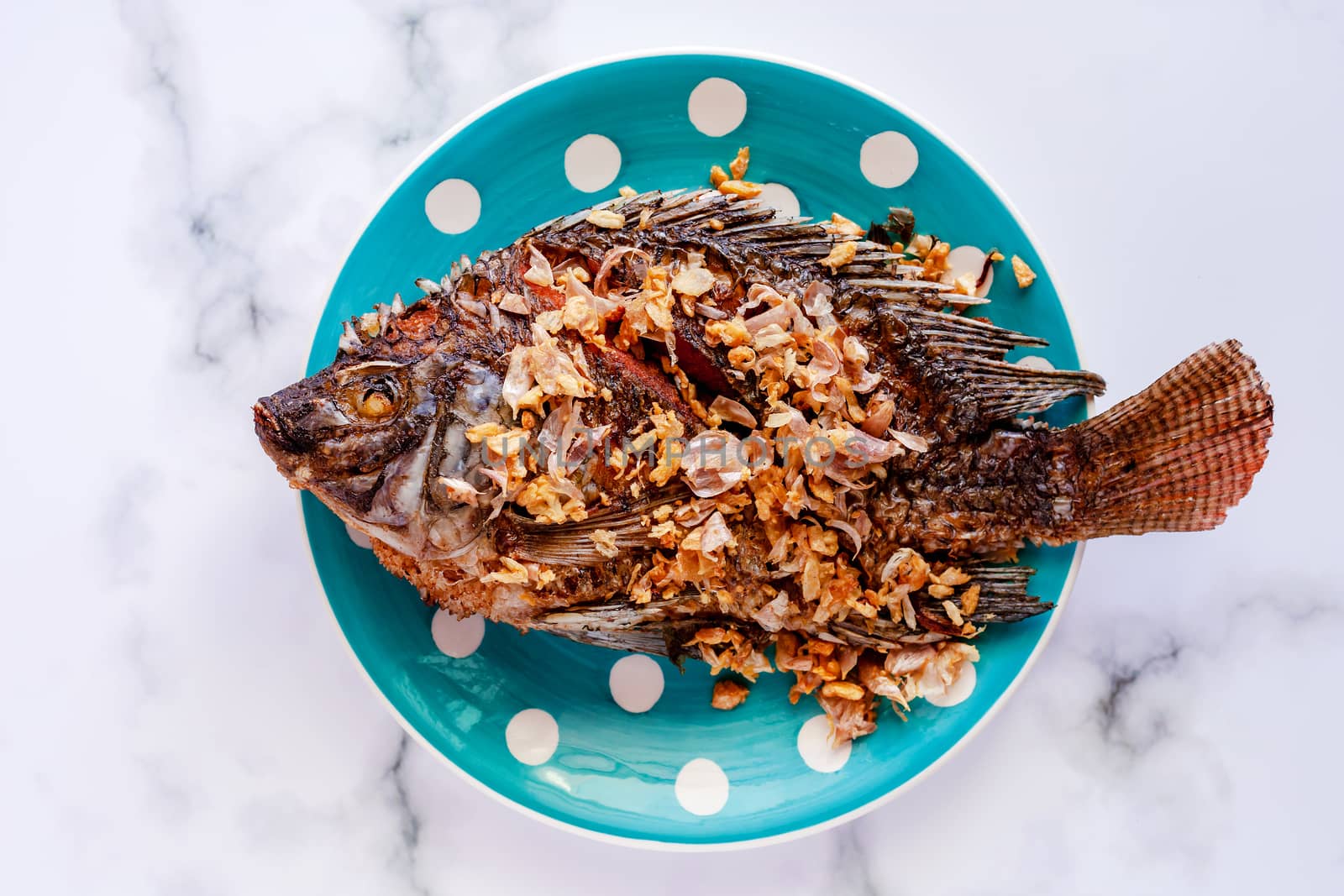 Delicious fried Tilapia fish in polka dot plate on marble background for tasty food concept