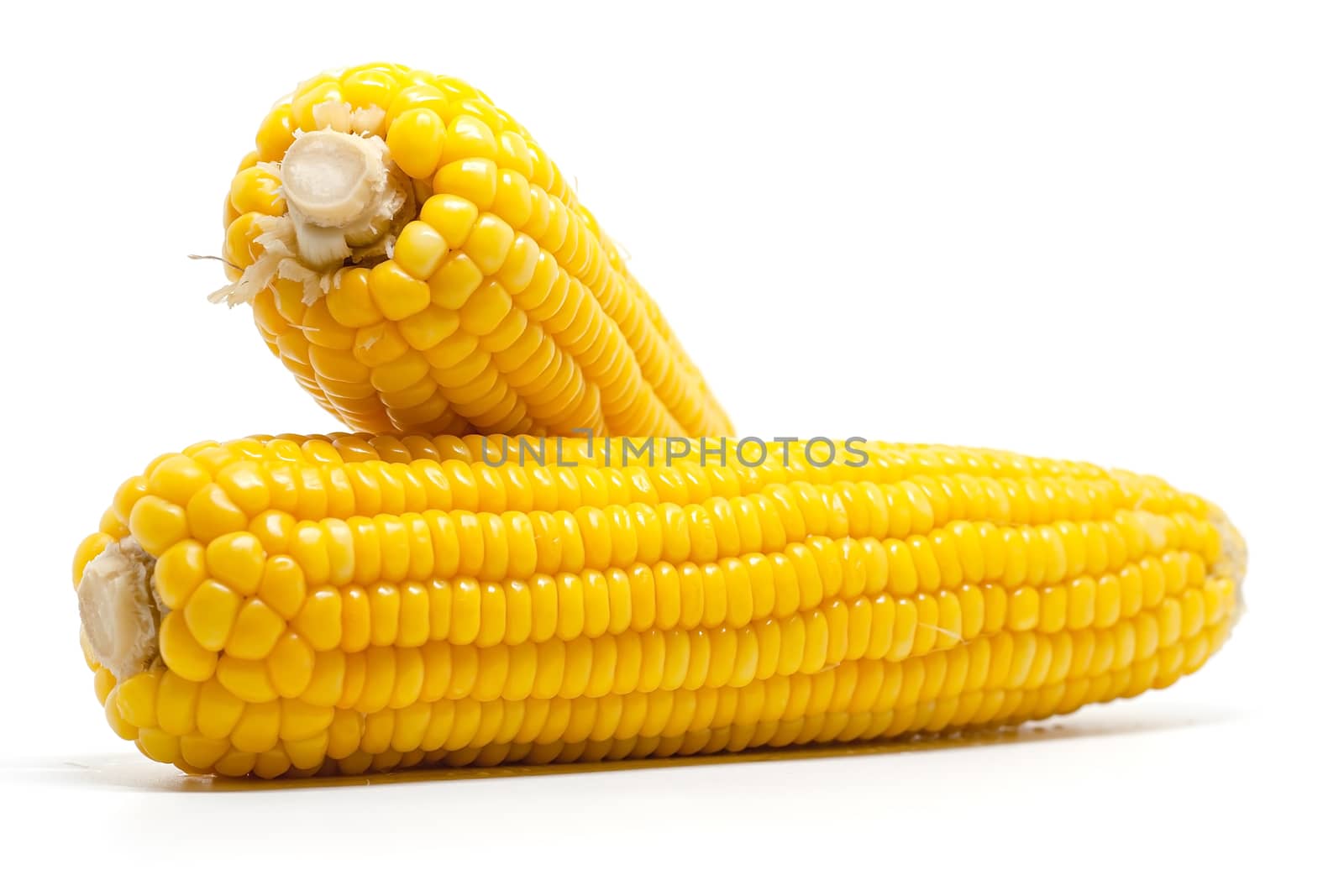 Sweet corn on white background for food ingredients and cooking concept