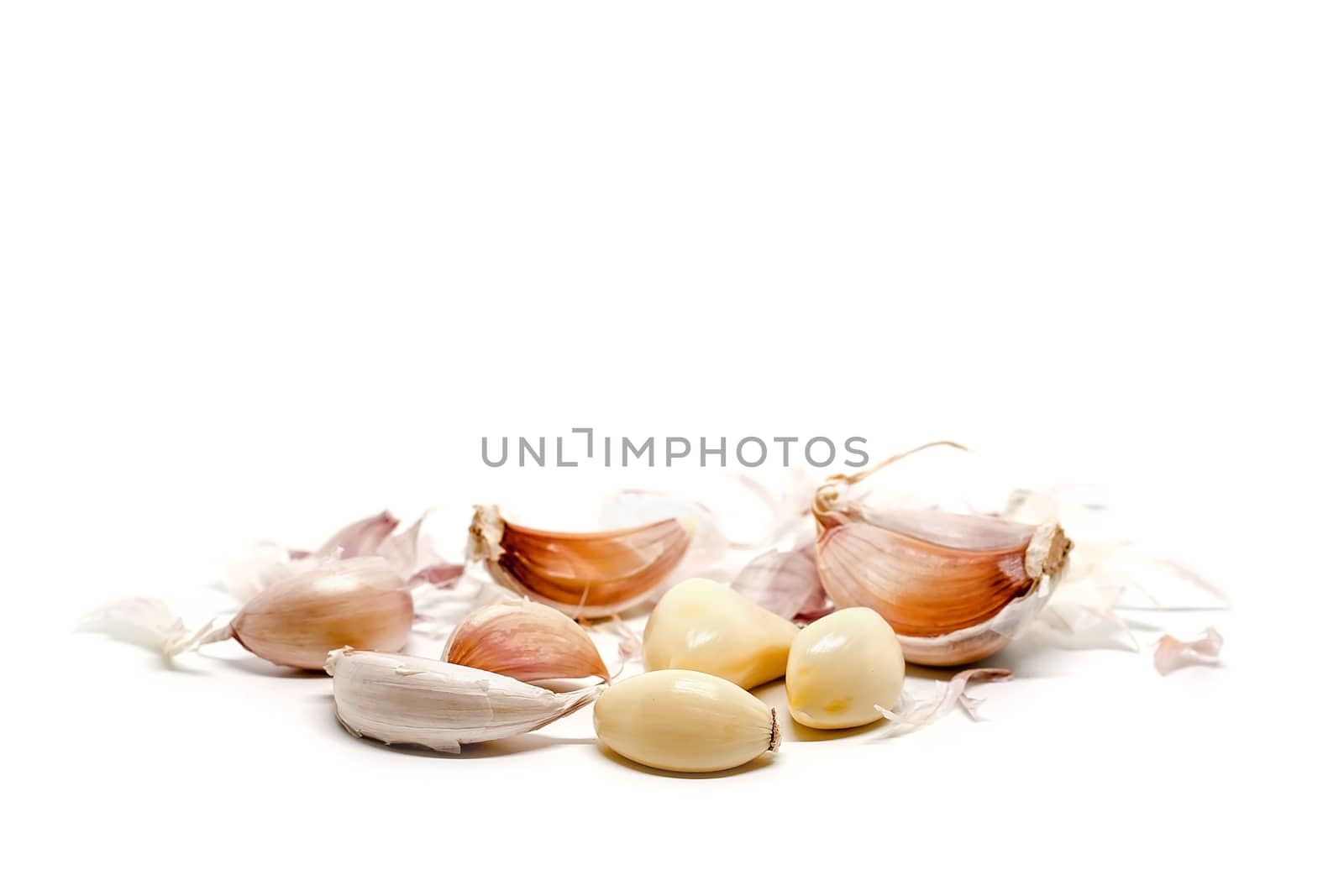 Garlic on white background for food and cooking concept