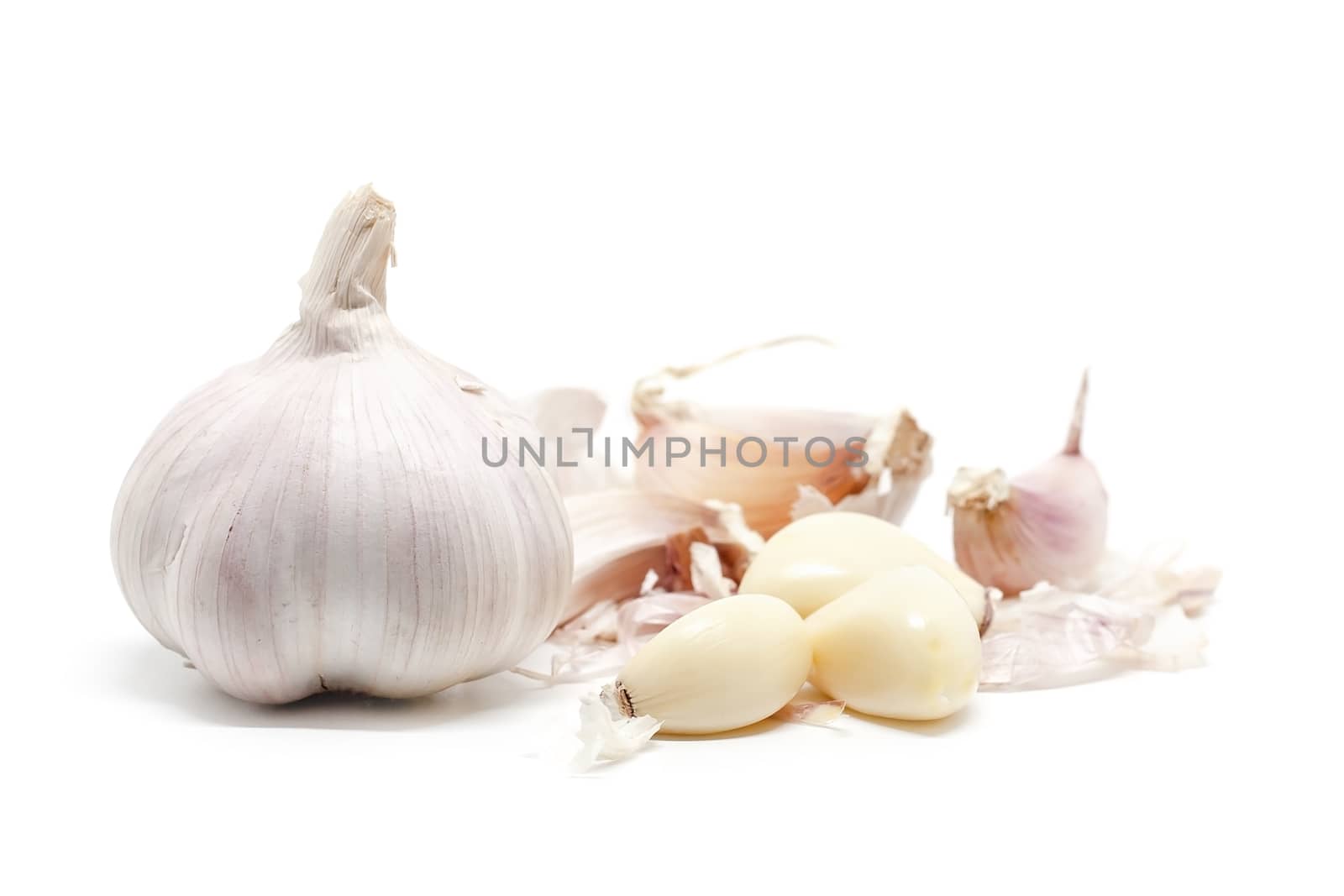 Garlic on white background for food and cooking concept