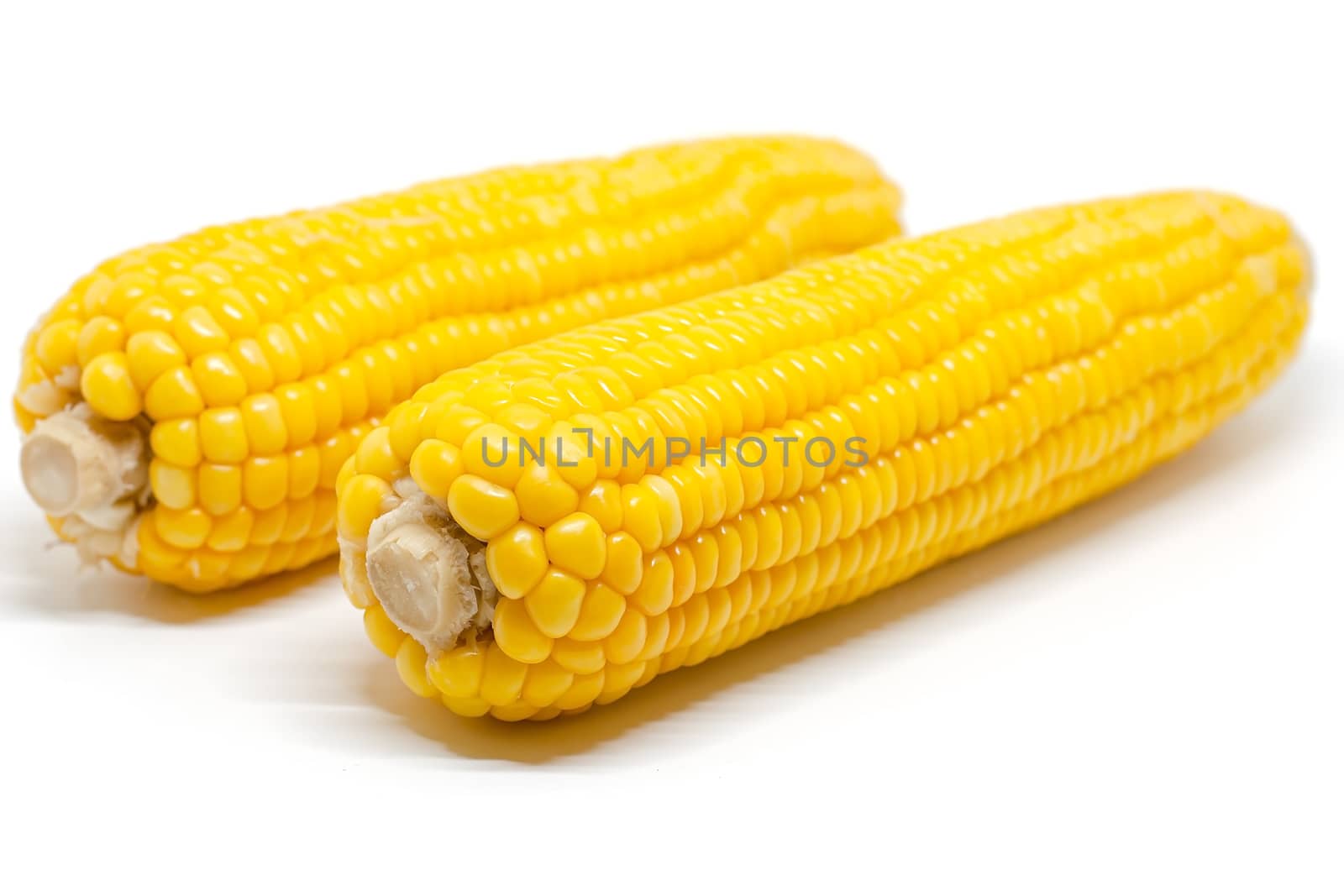 Sweet corn on white background for food ingredients and cooking concept