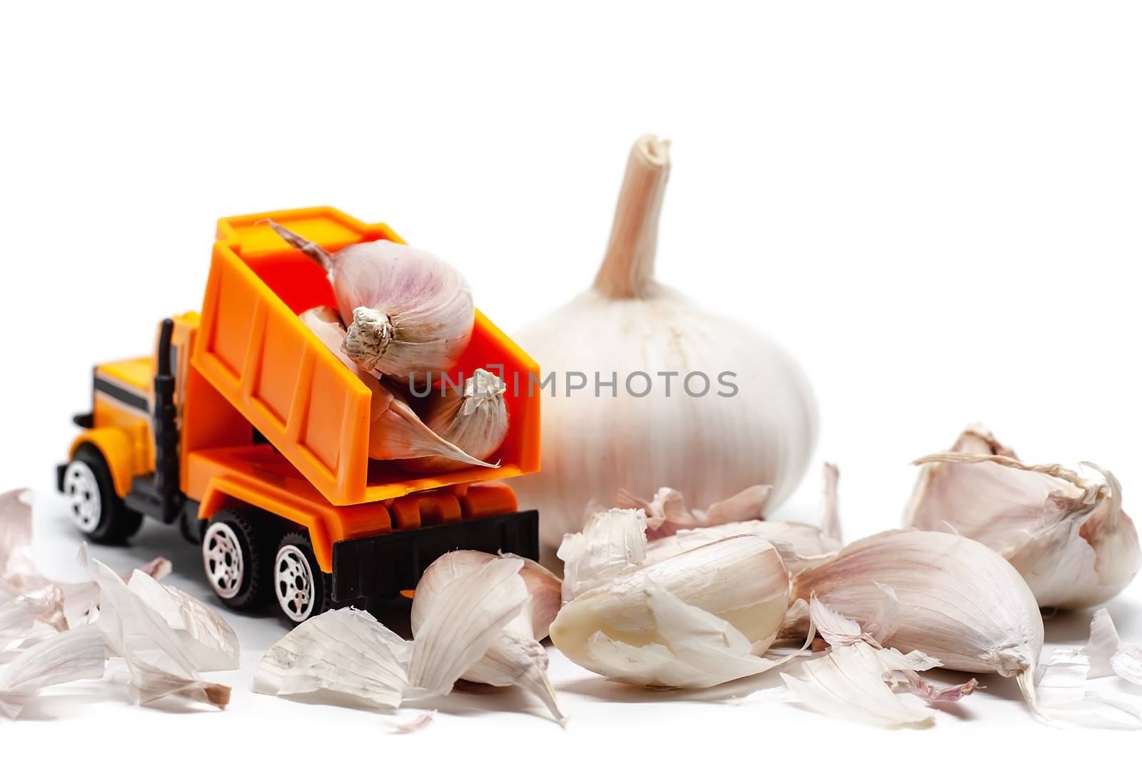 A yellow toy dump truck with garlic on white background for food and transportation concept