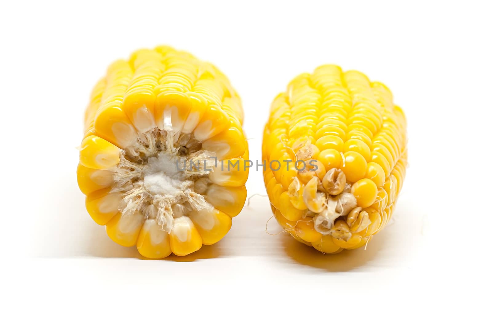 Sweet corn on white background for food ingredients and cooking concept