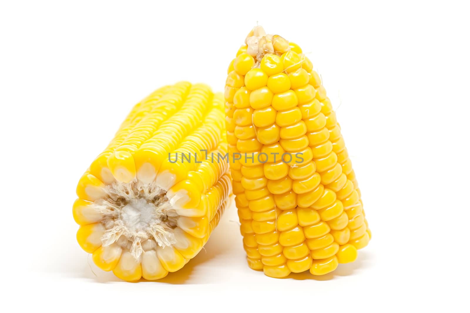 Sweet corn on white background for food ingredients and cooking concept