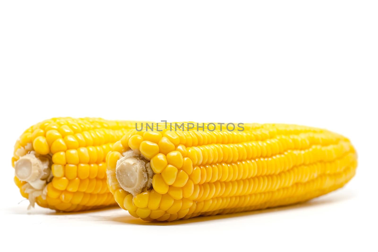 Sweet corn on white background for food ingredients and cooking concept