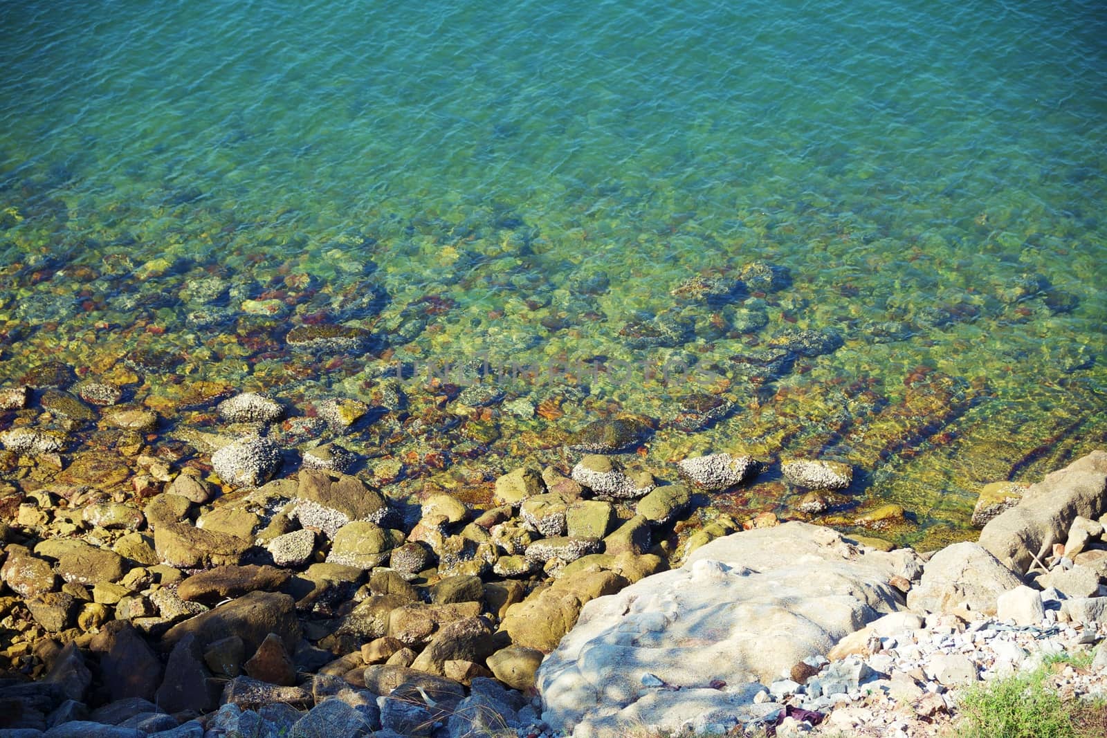 The coastal area with rocks for seascape concept